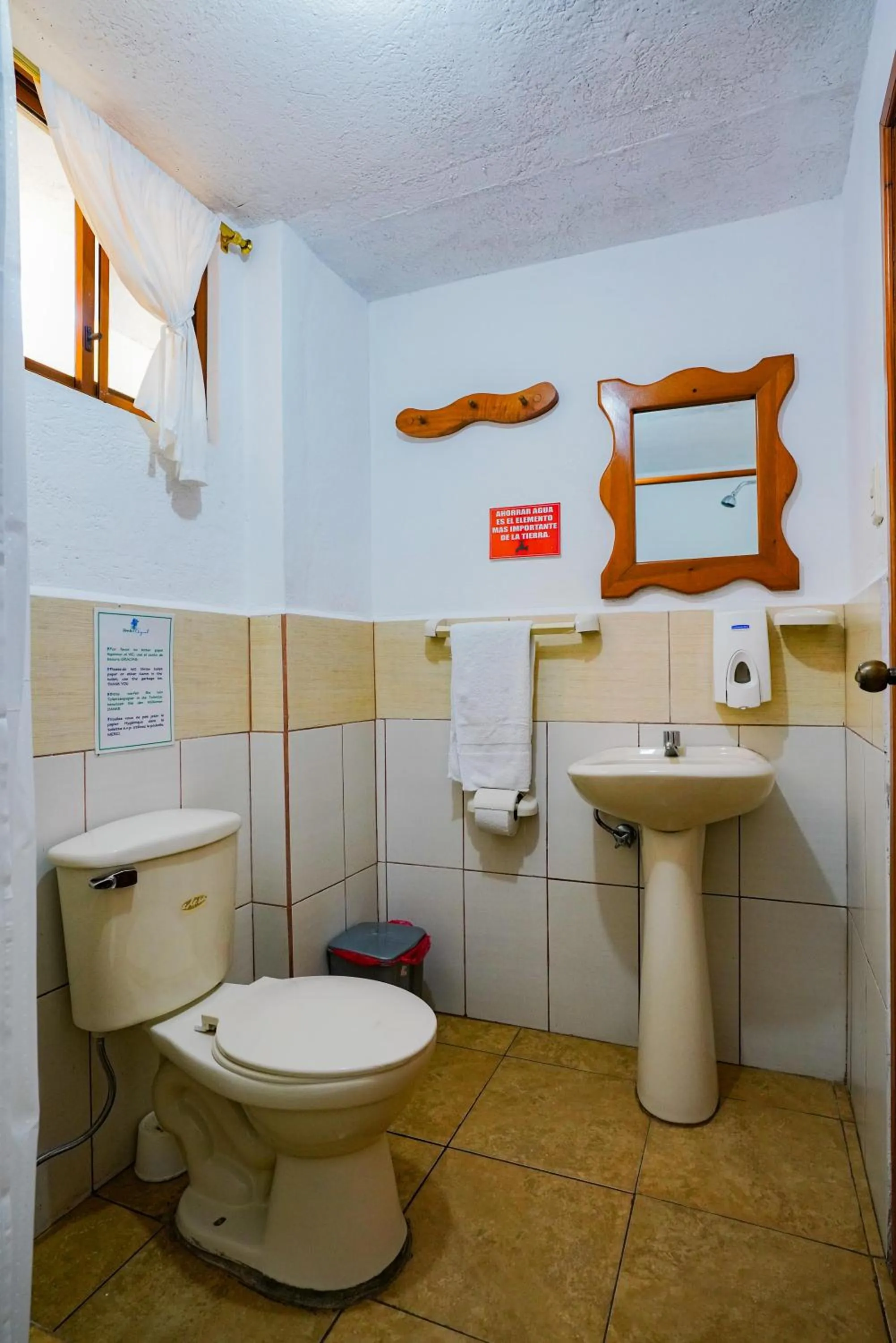 Galapagos Verde Azul