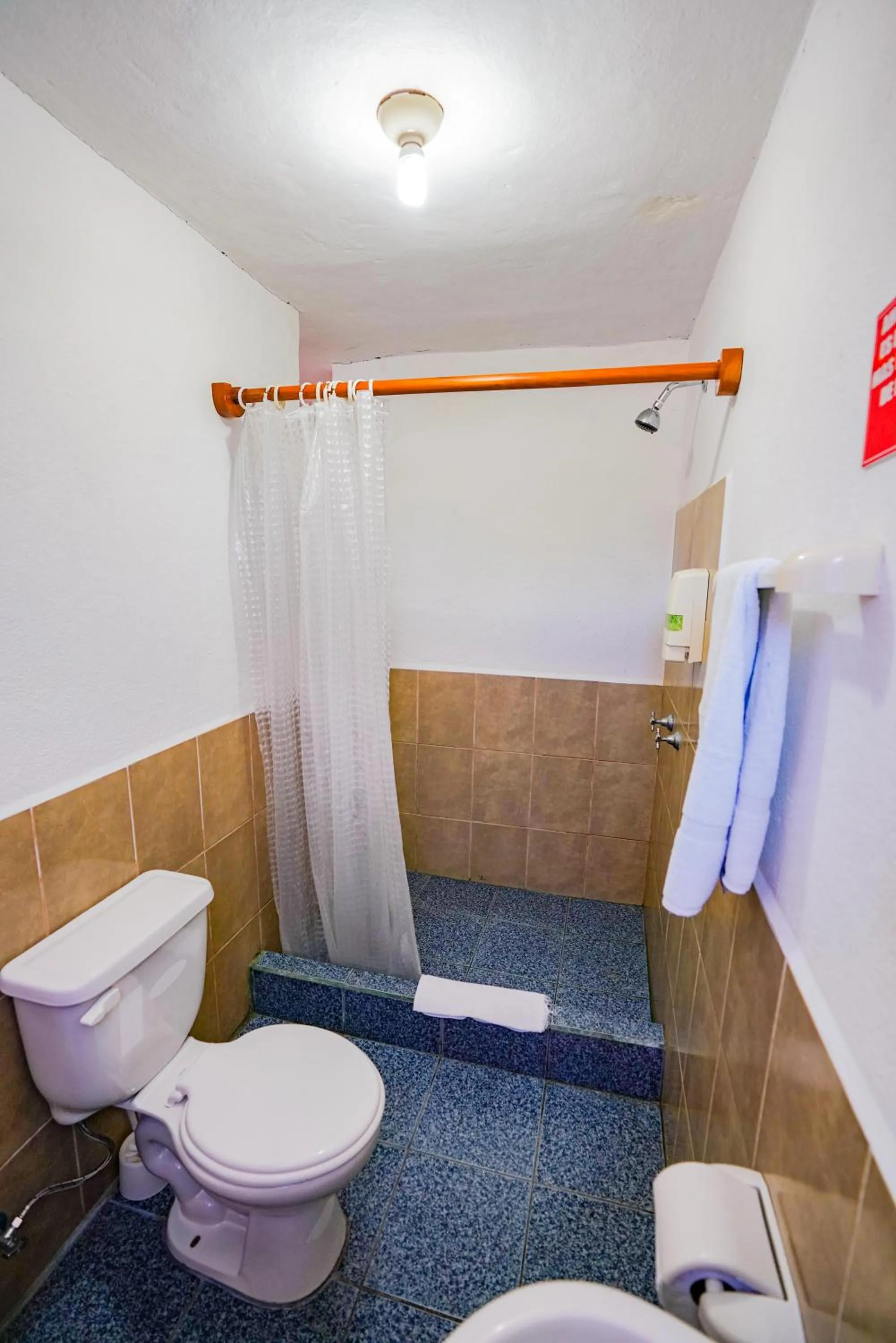 Galapagos Verde Azul