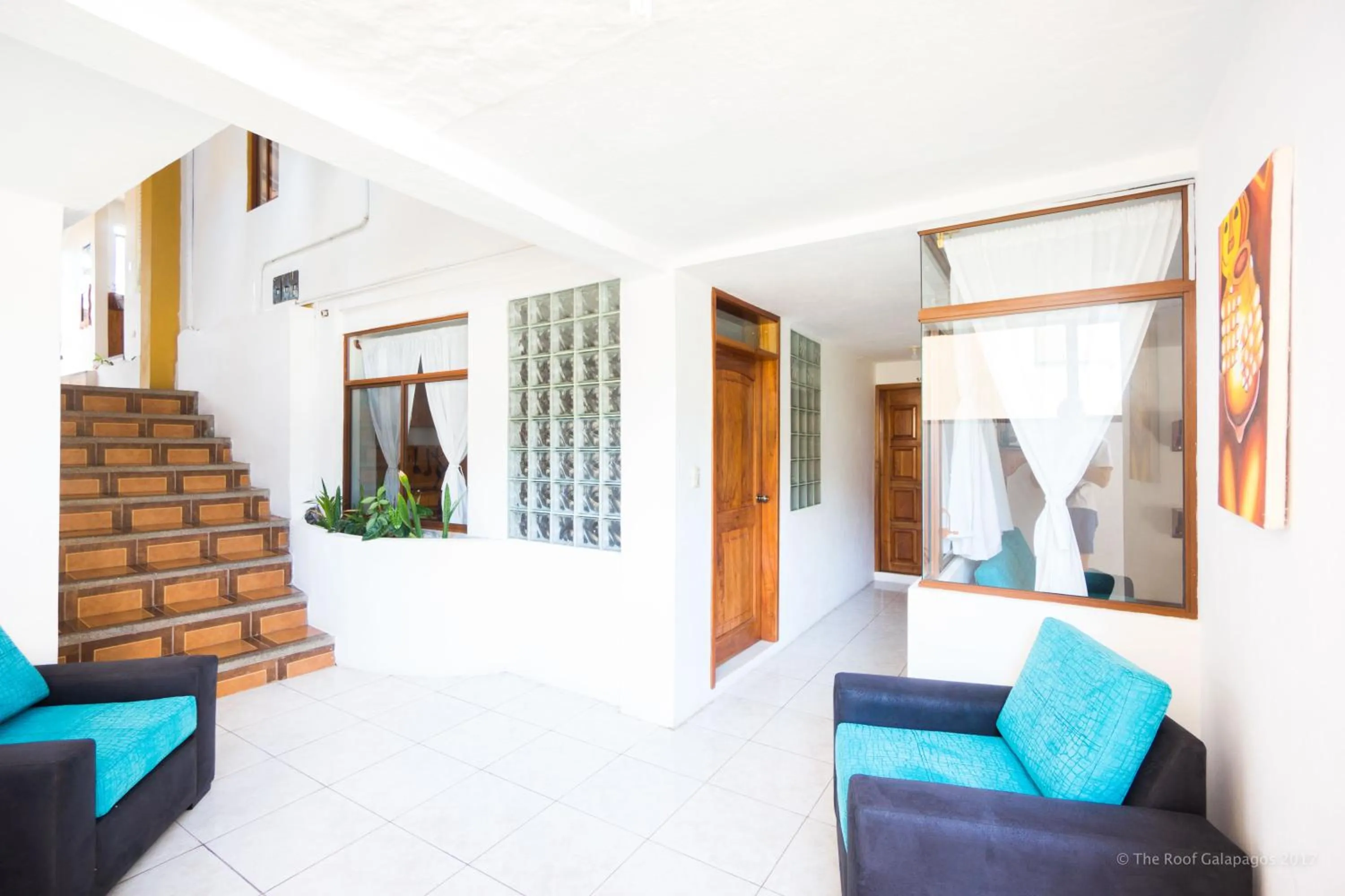 Other in Galapagos Verde Azul