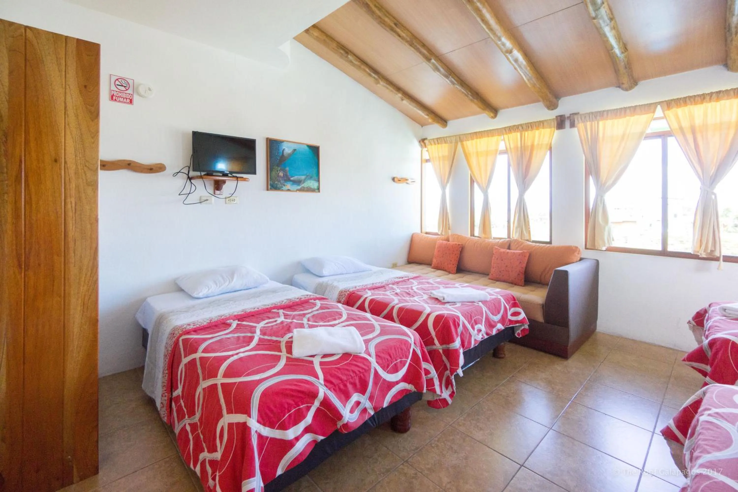 Bird's eye view, Bed in Galapagos Verde Azul