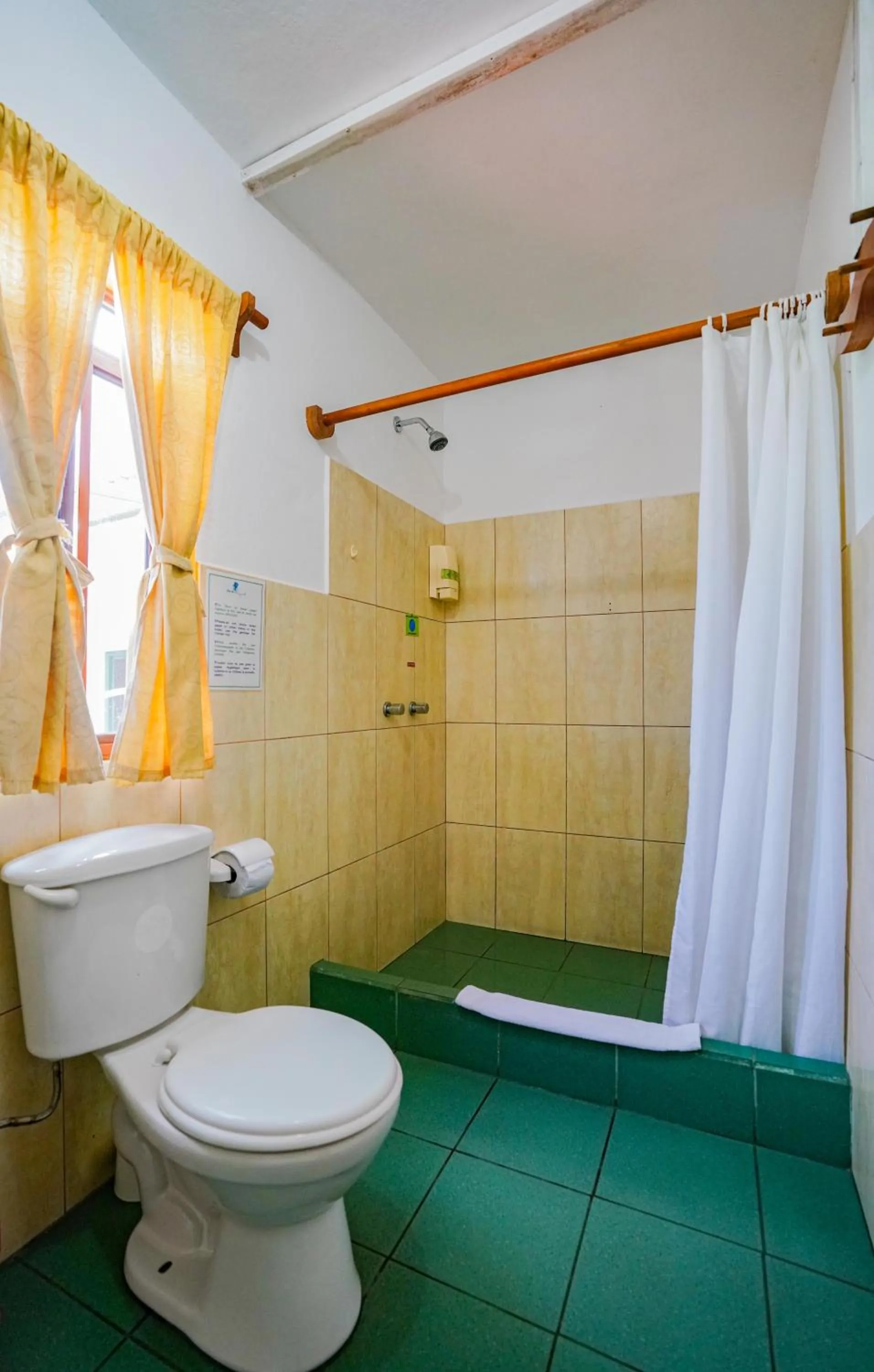 Galapagos Verde Azul