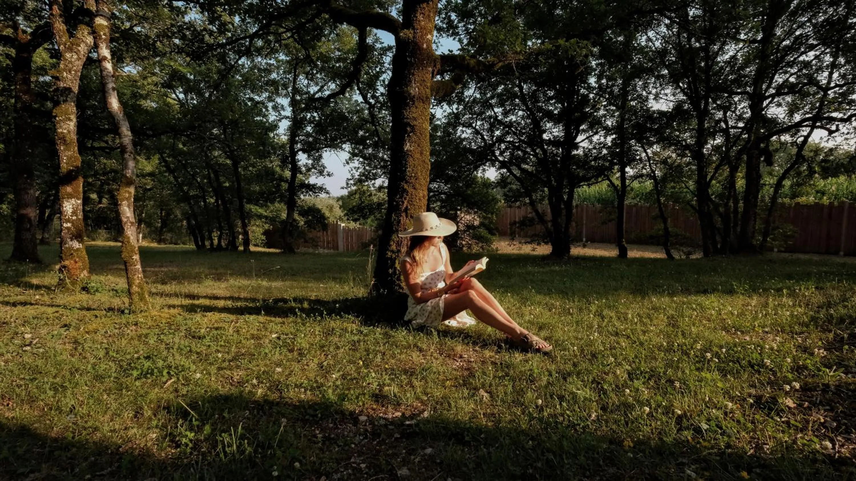 Property building in Le Bois d'Imbert - Memory Collection