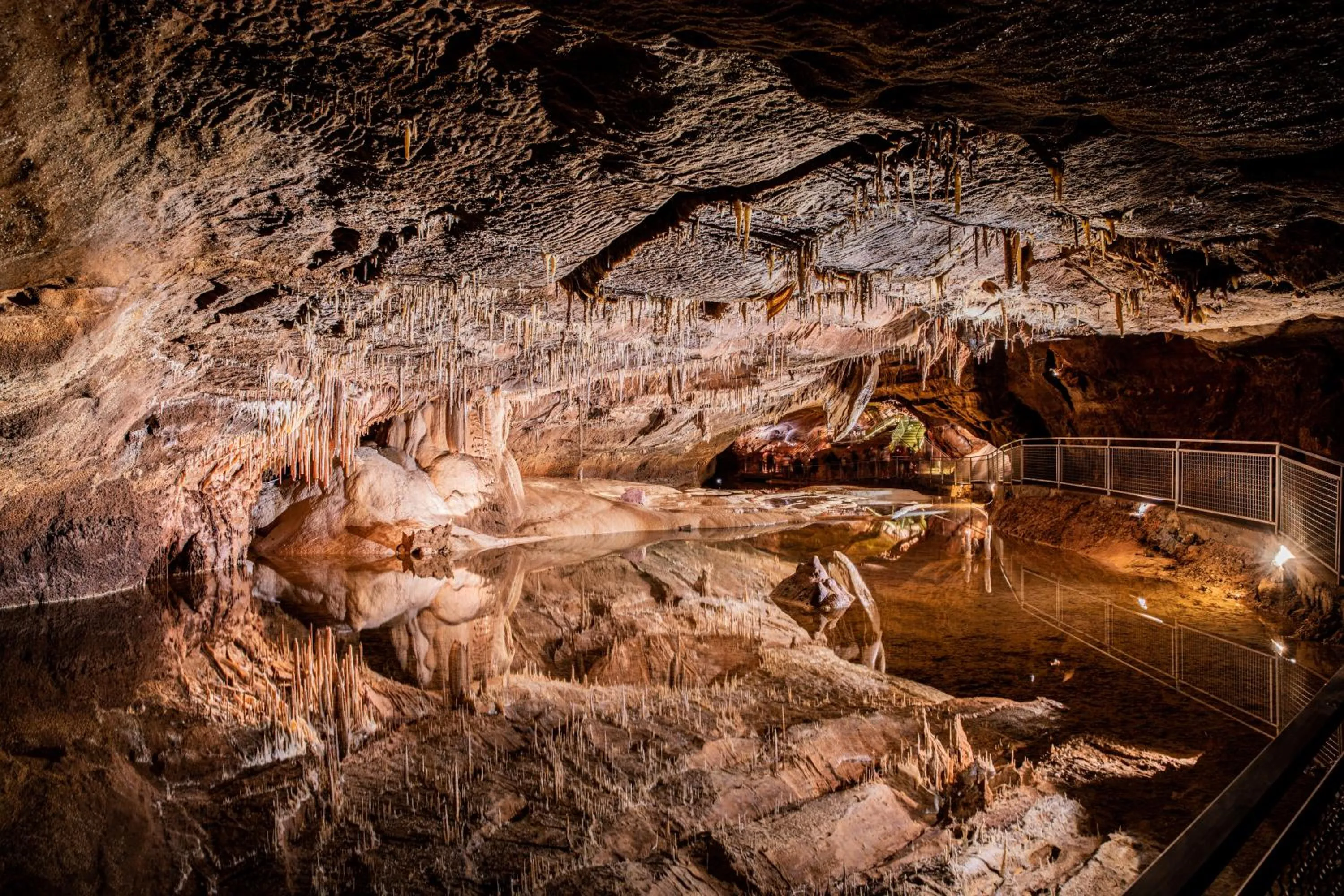 Off site in Le Bois d'Imbert - Memory Collection