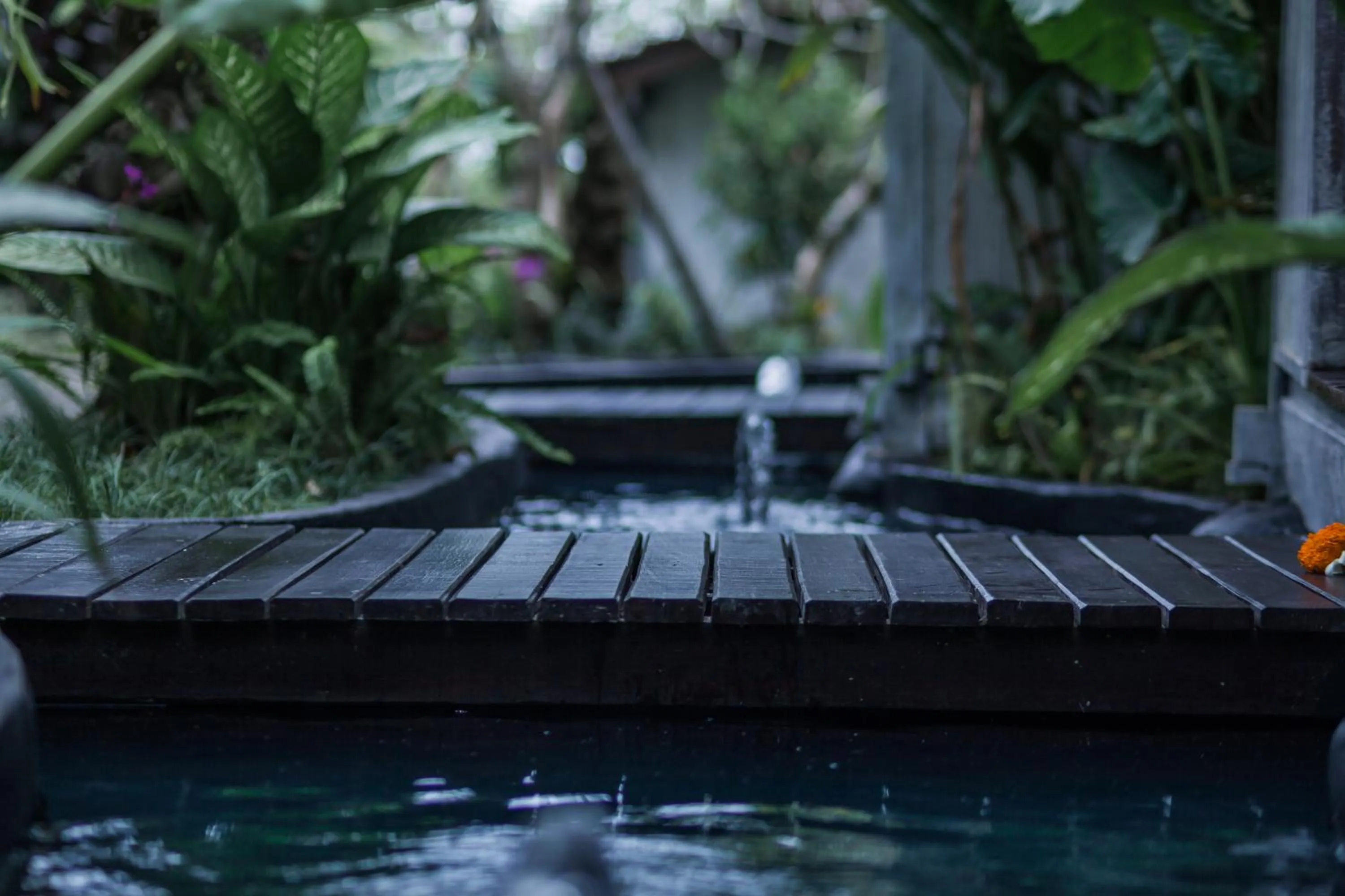 View (from property/room) in Green Taman Ubud by Prasi