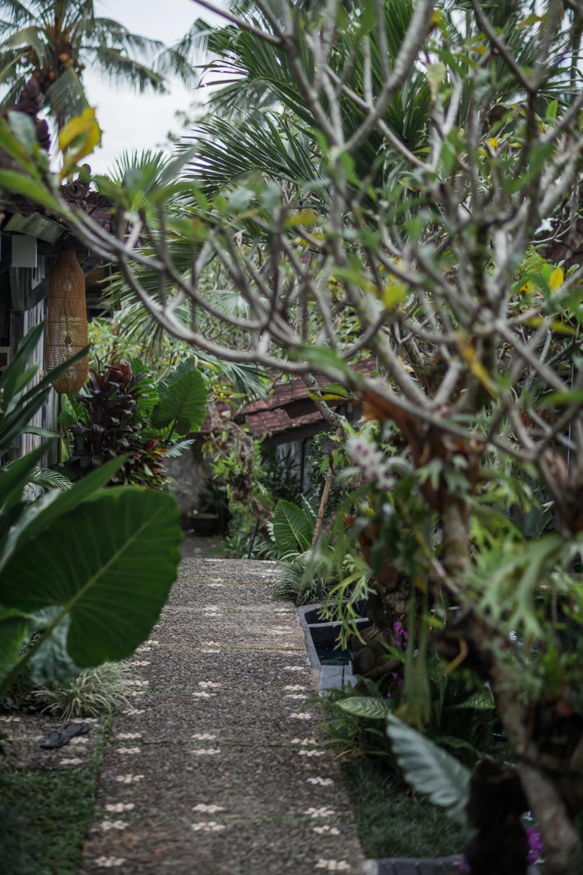 Garden view in Green Taman Ubud by Prasi