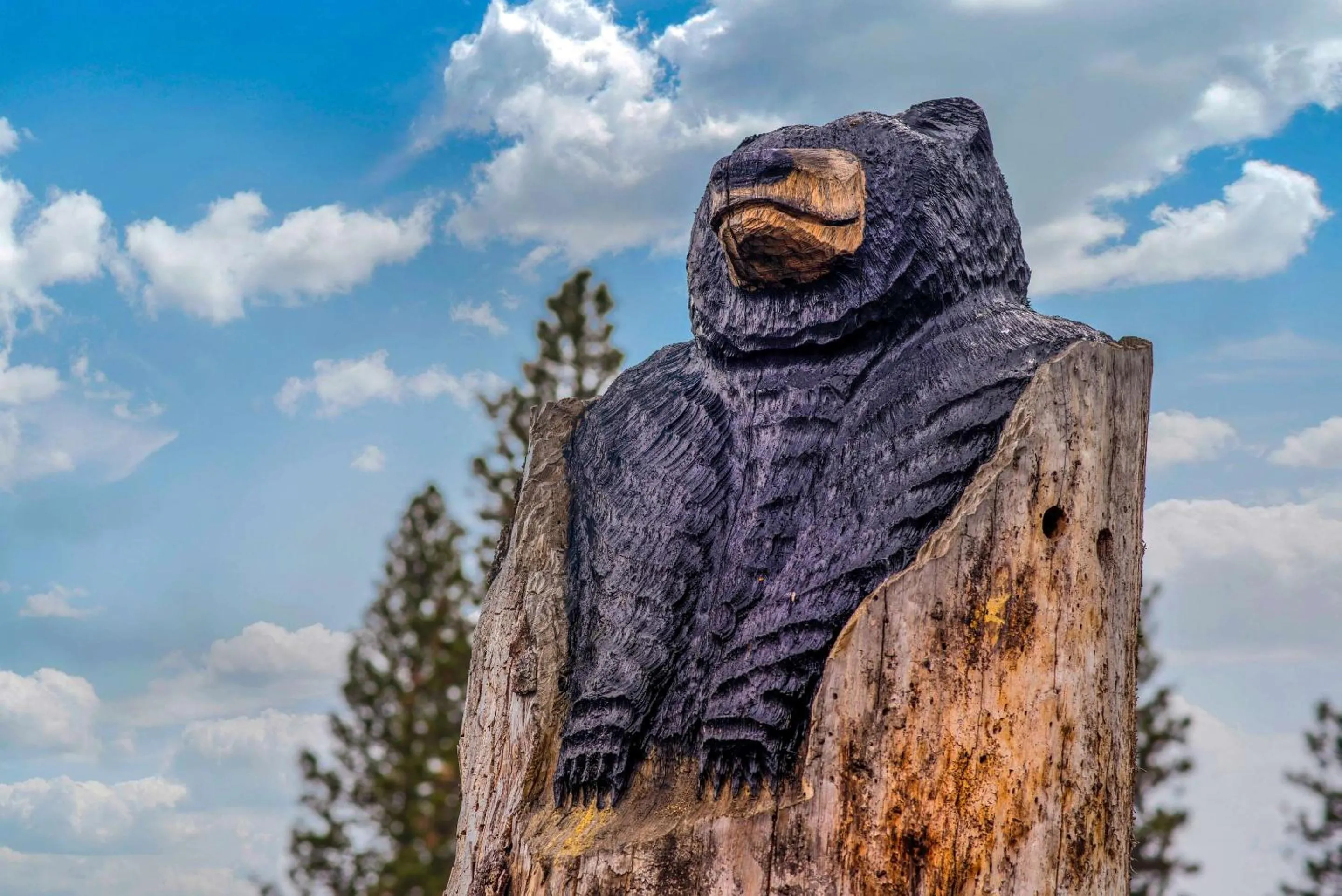 Property building in Comfort Inn Mount Shasta Area