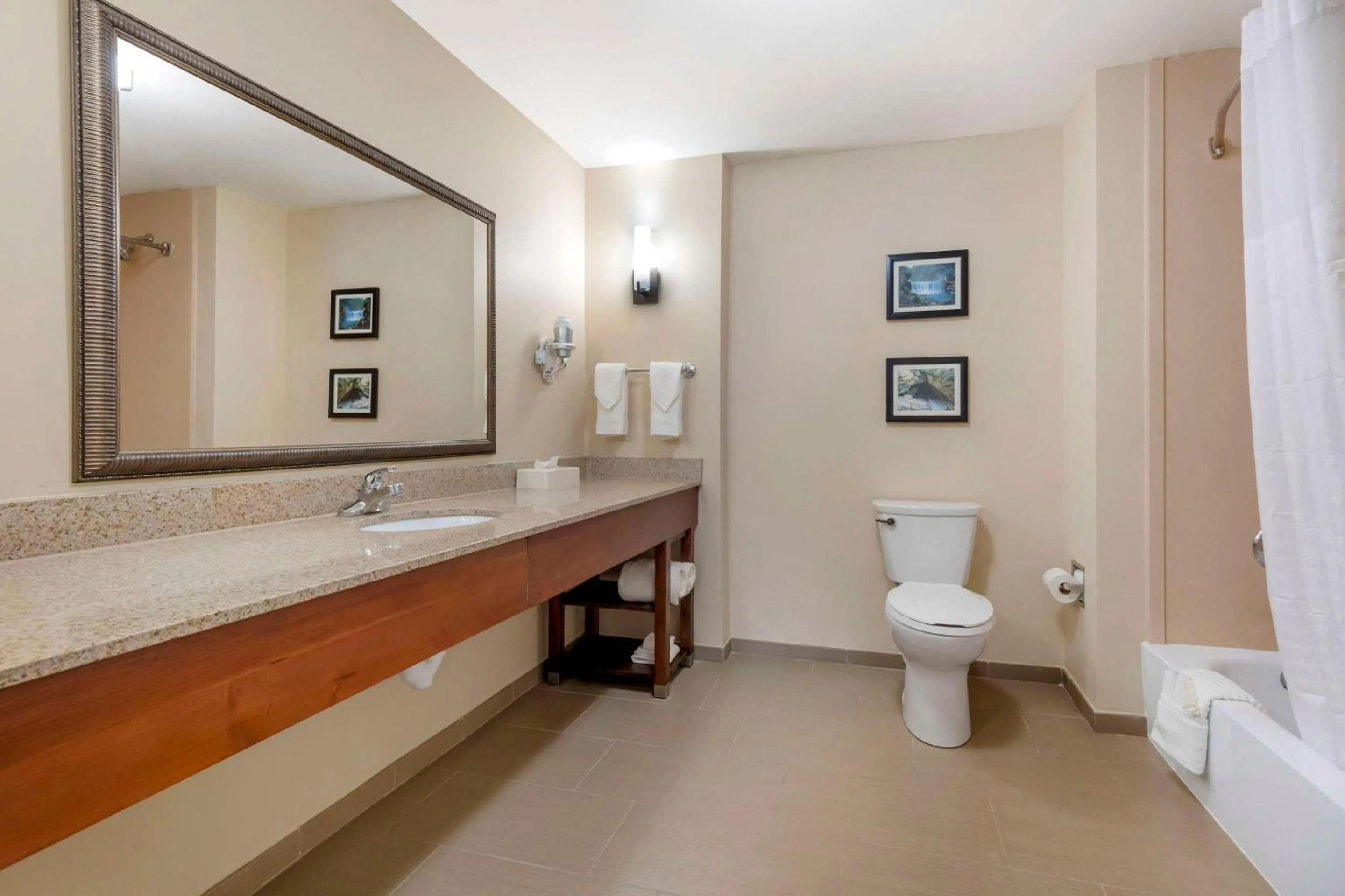 Bedroom in Comfort Suites Elizabethtown