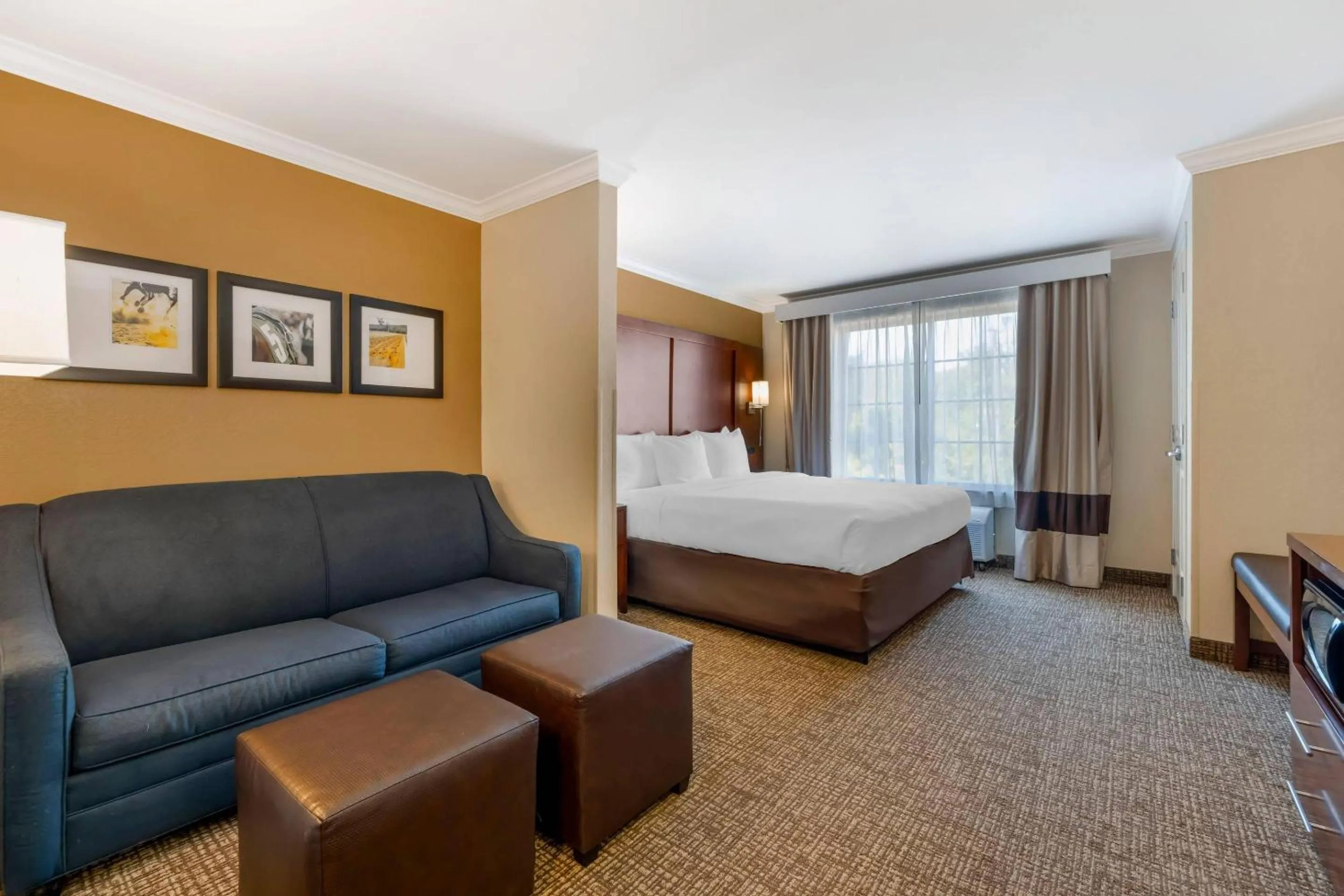 Bedroom, Bed in Comfort Suites Elizabethtown