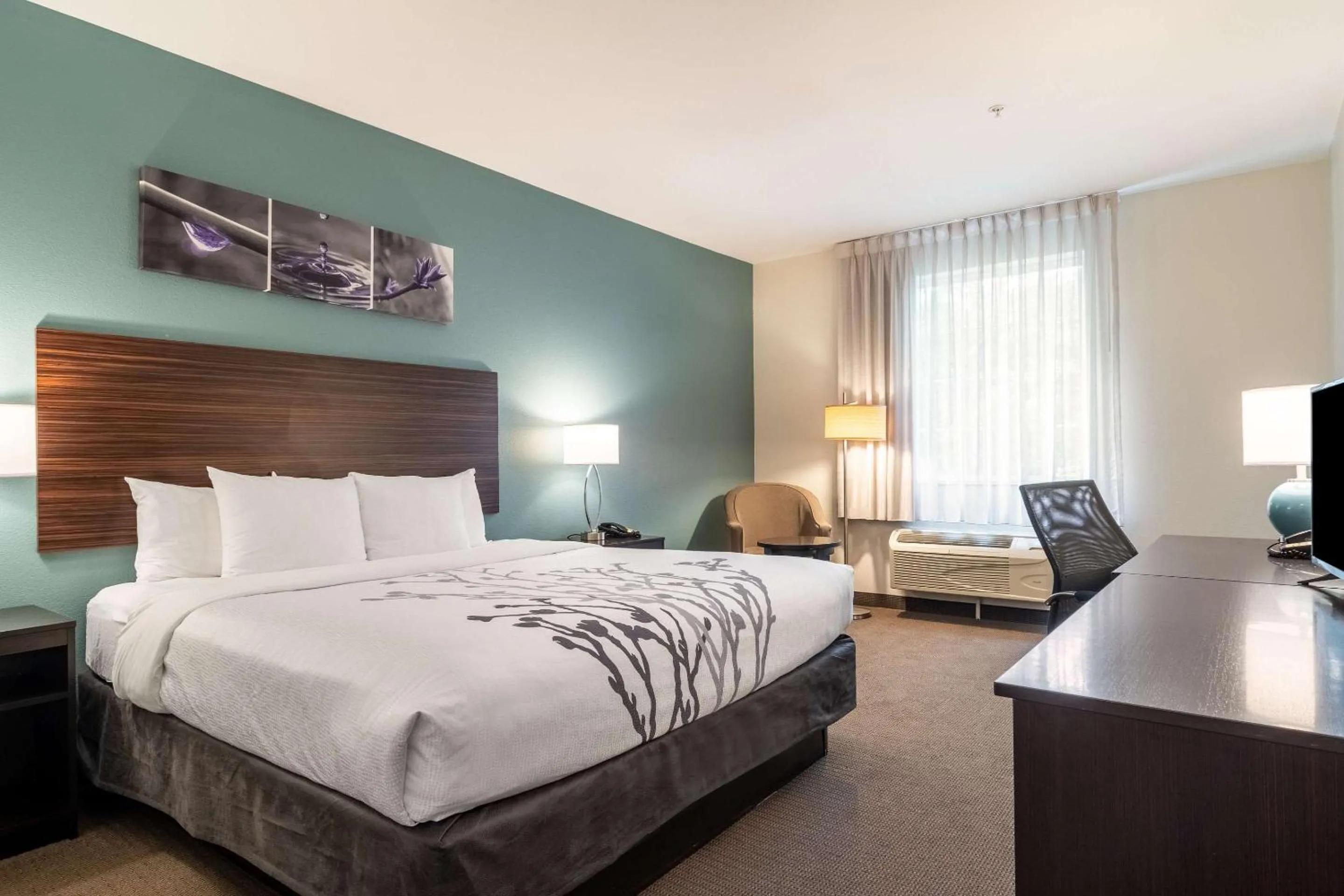 Photo of the whole room, Bed in Sleep Inn & Suites At Kennesaw State University