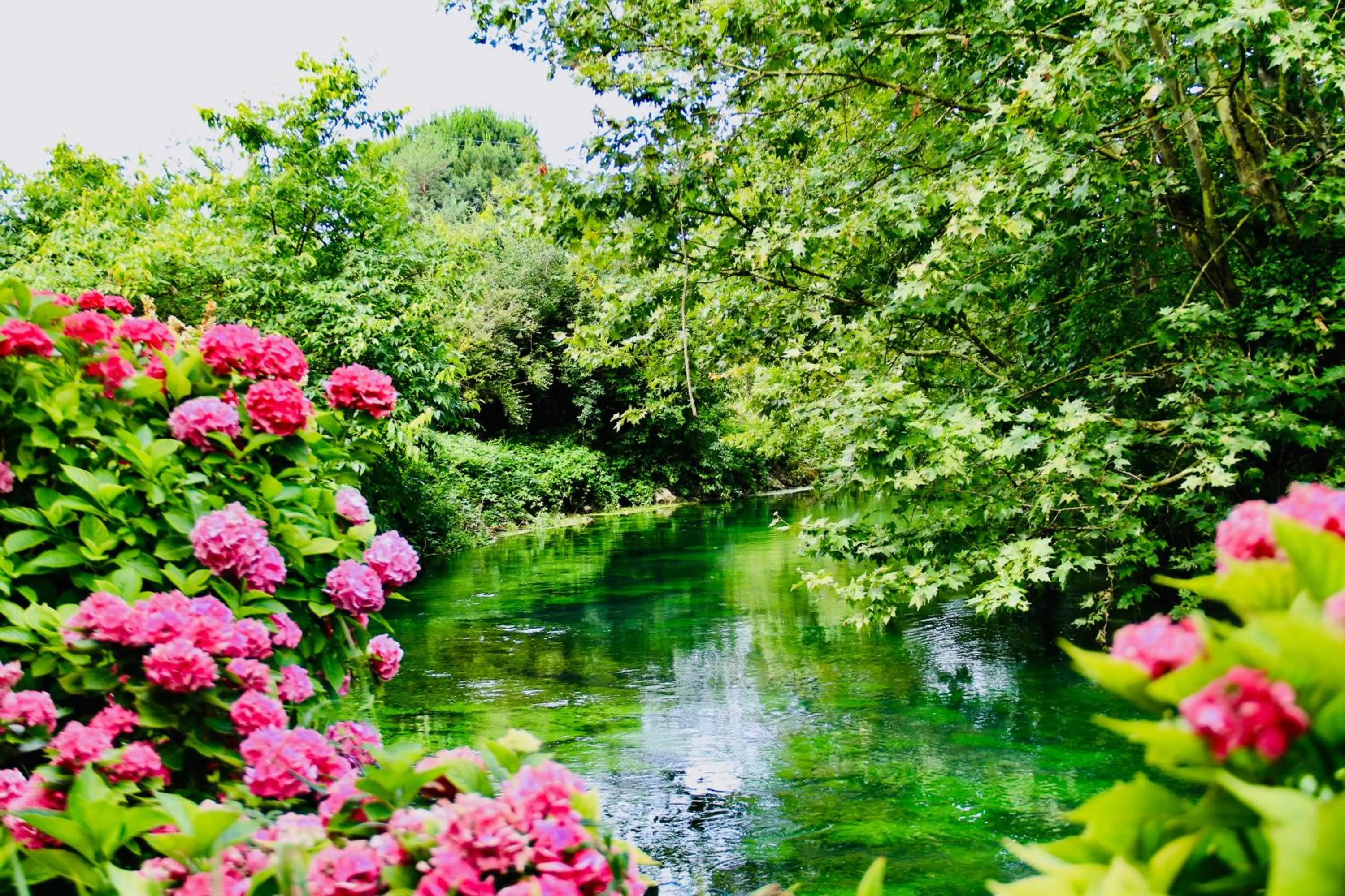 Garden in Musella Winery & Relais