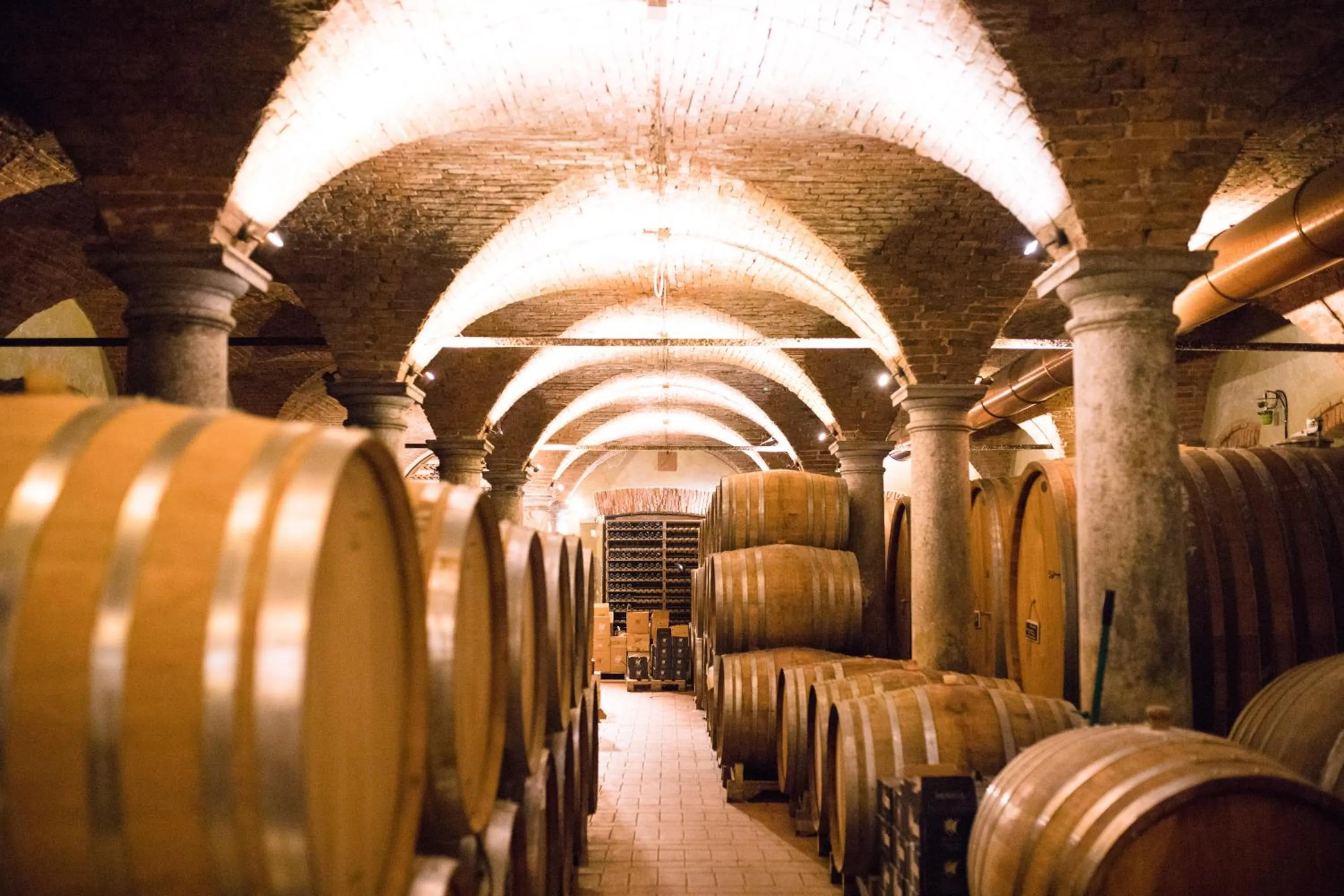 View (from property/room) in Musella Winery & Relais