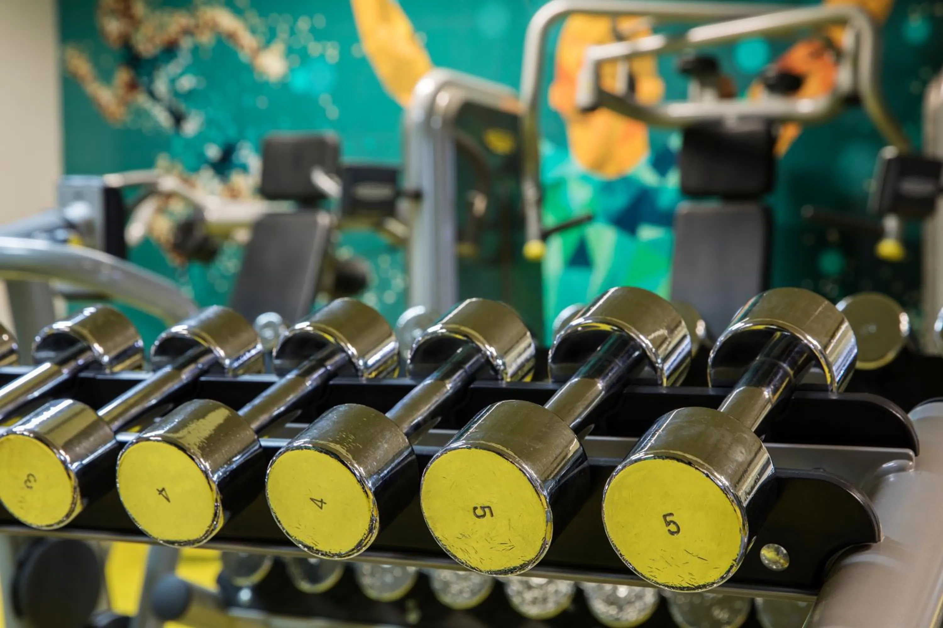 Fitness centre/facilities in The Capital Melrose