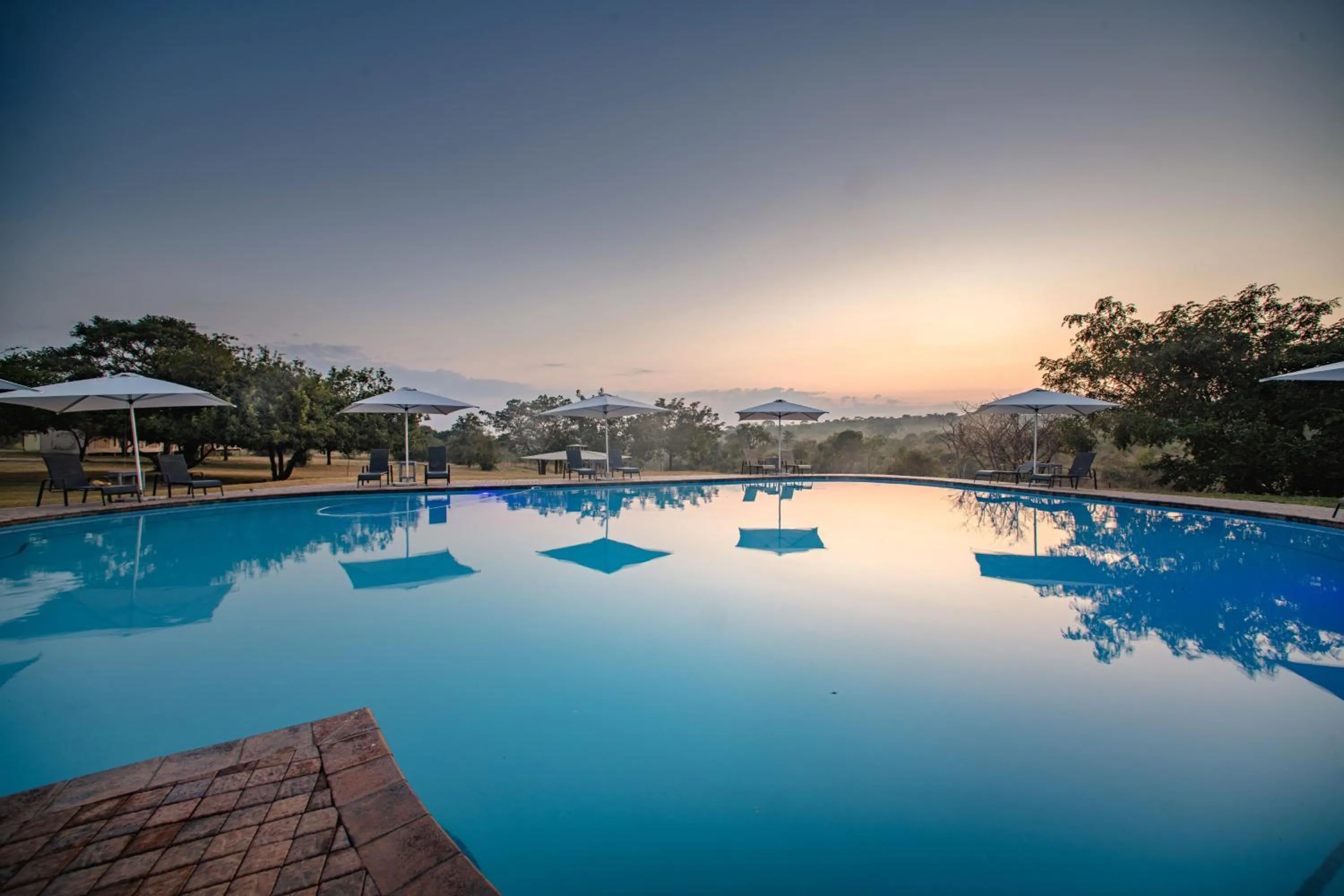 Pool view in Nkambeni Safari Camp