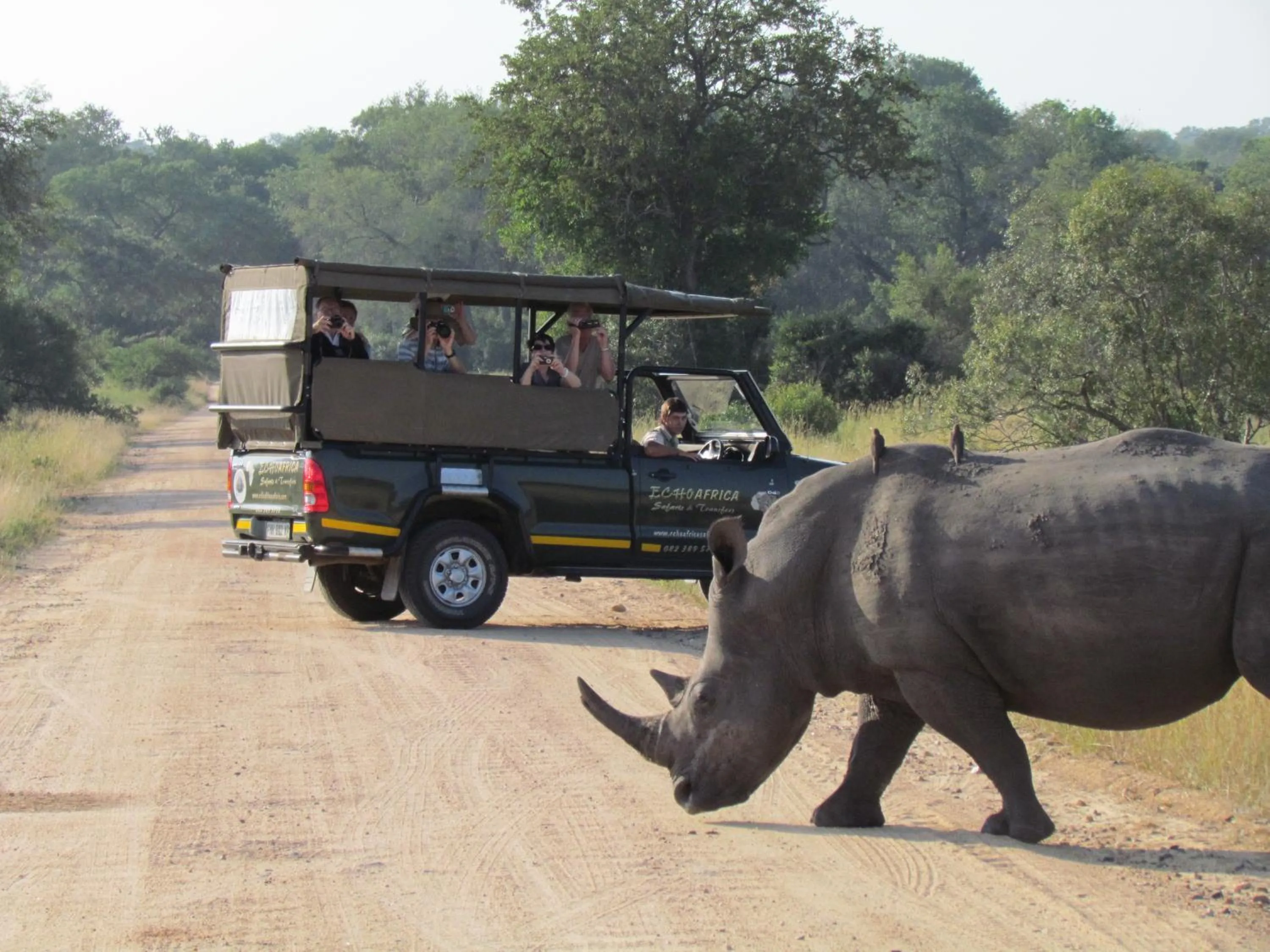 Activities in Nkambeni Safari Camp