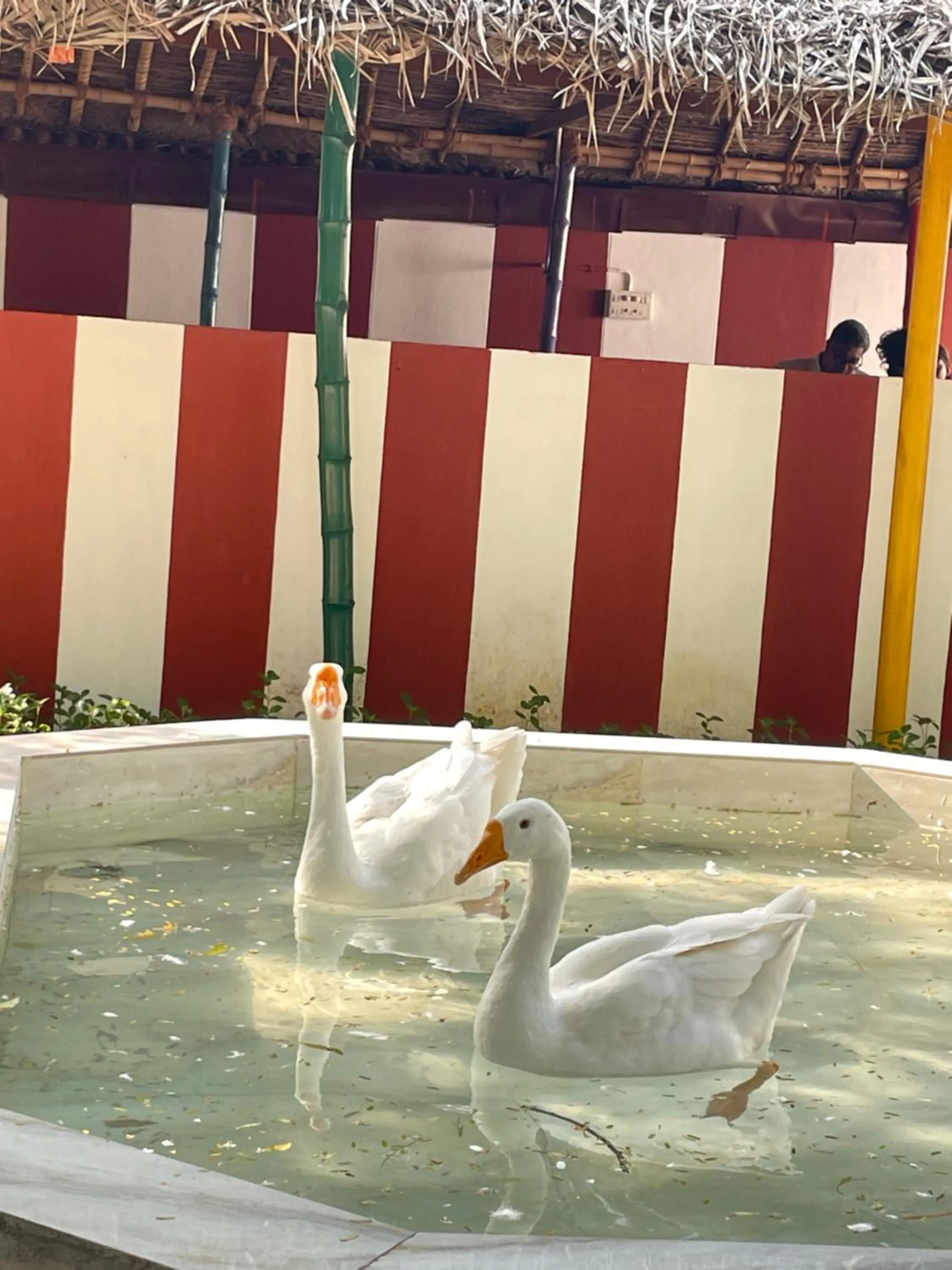 Chola Heritage Resort