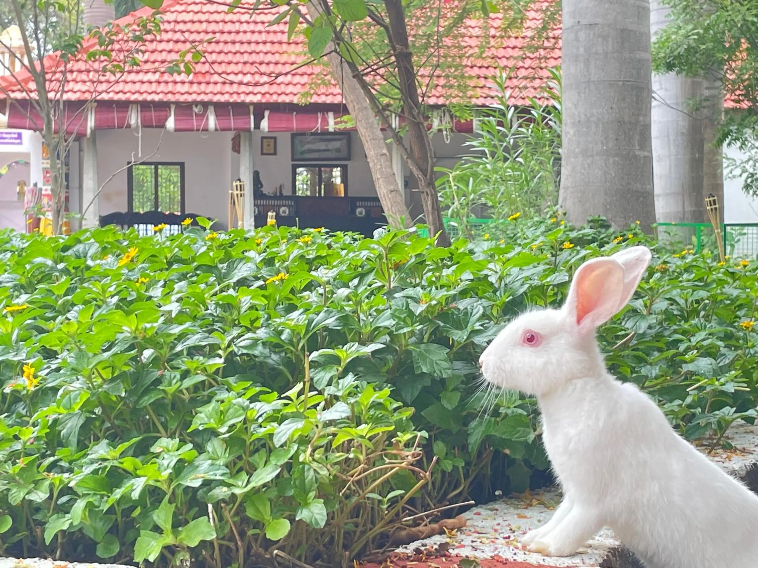 Chola Heritage Resort