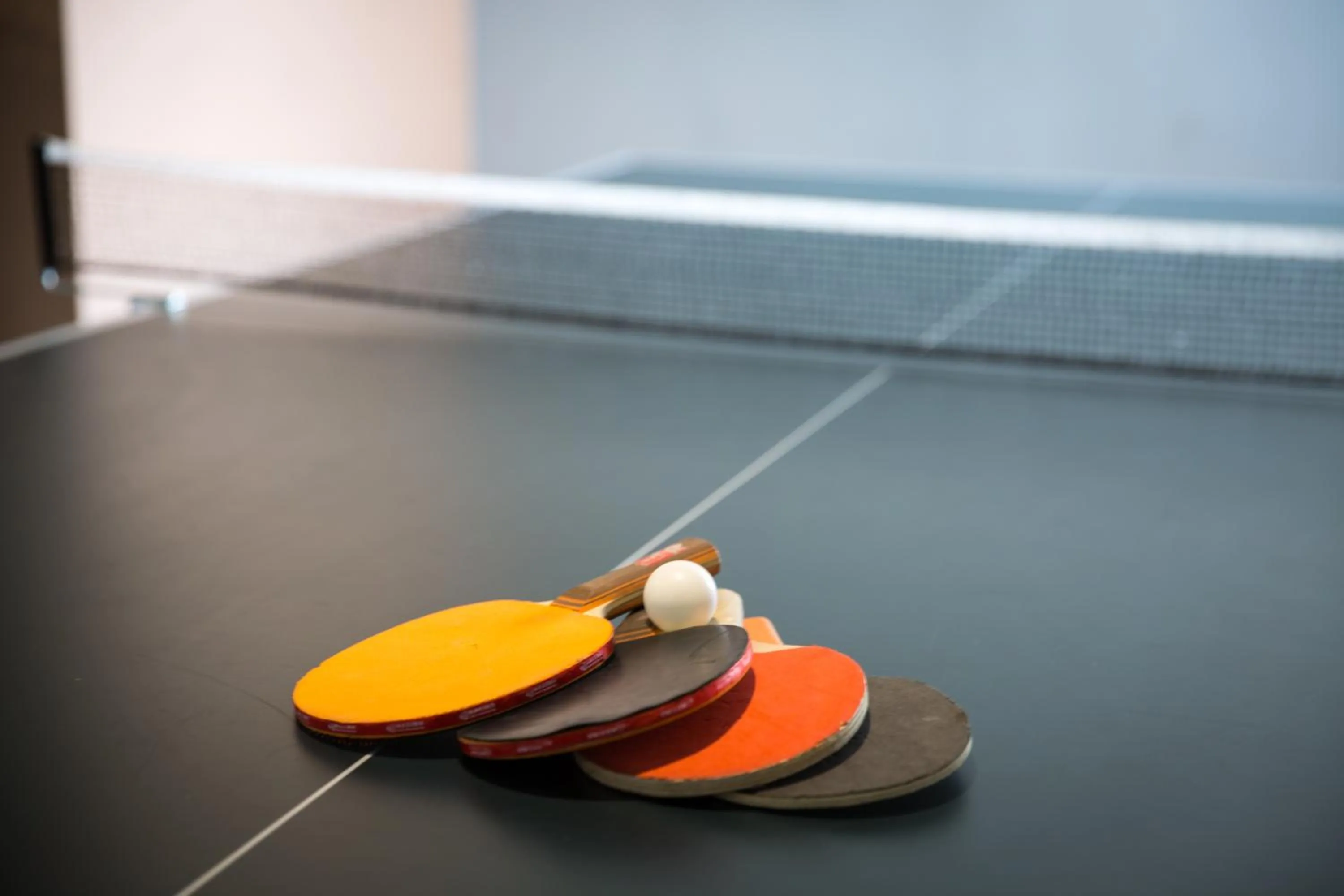 Table tennis in Thermal Hotel Seven Seasons