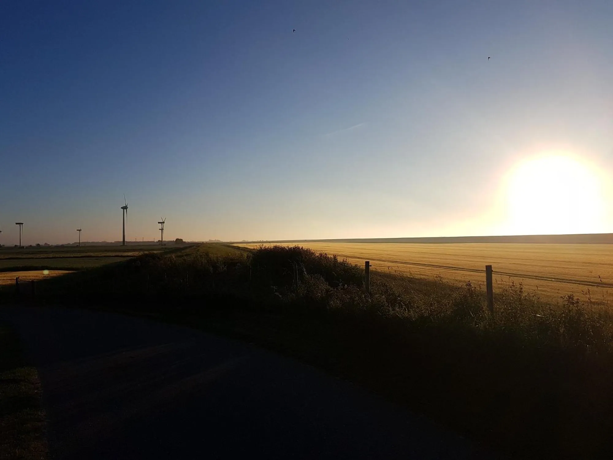 Natural landscape in Hausnordlicht Dachspitze