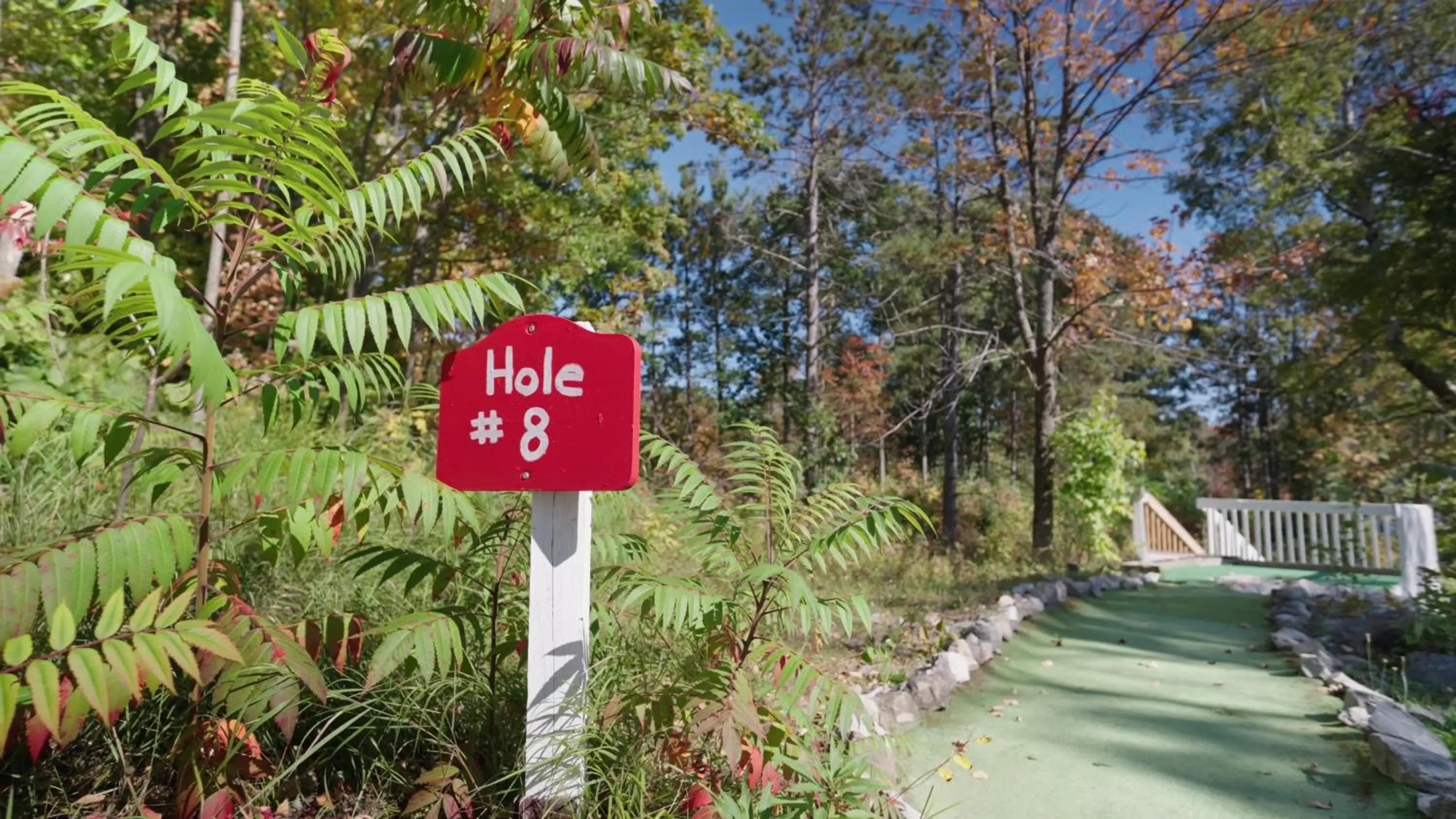 Property building in Jolly Roger Inn & Resort