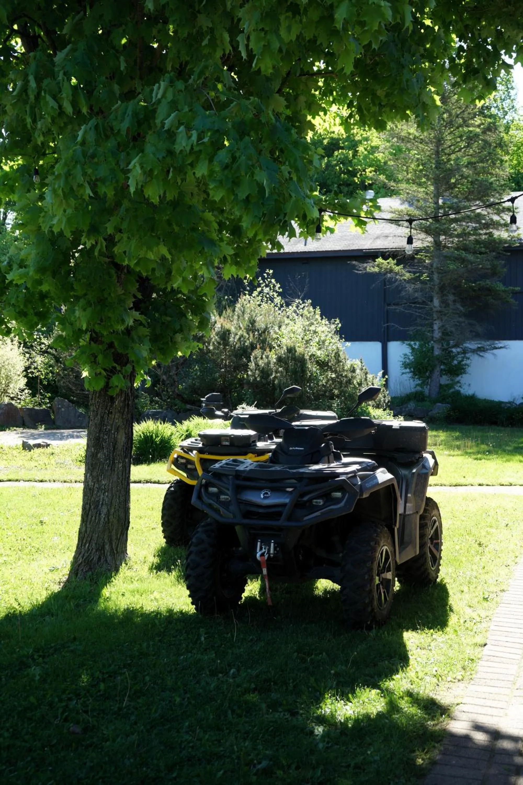 Activities in Jolly Roger Inn & Resort