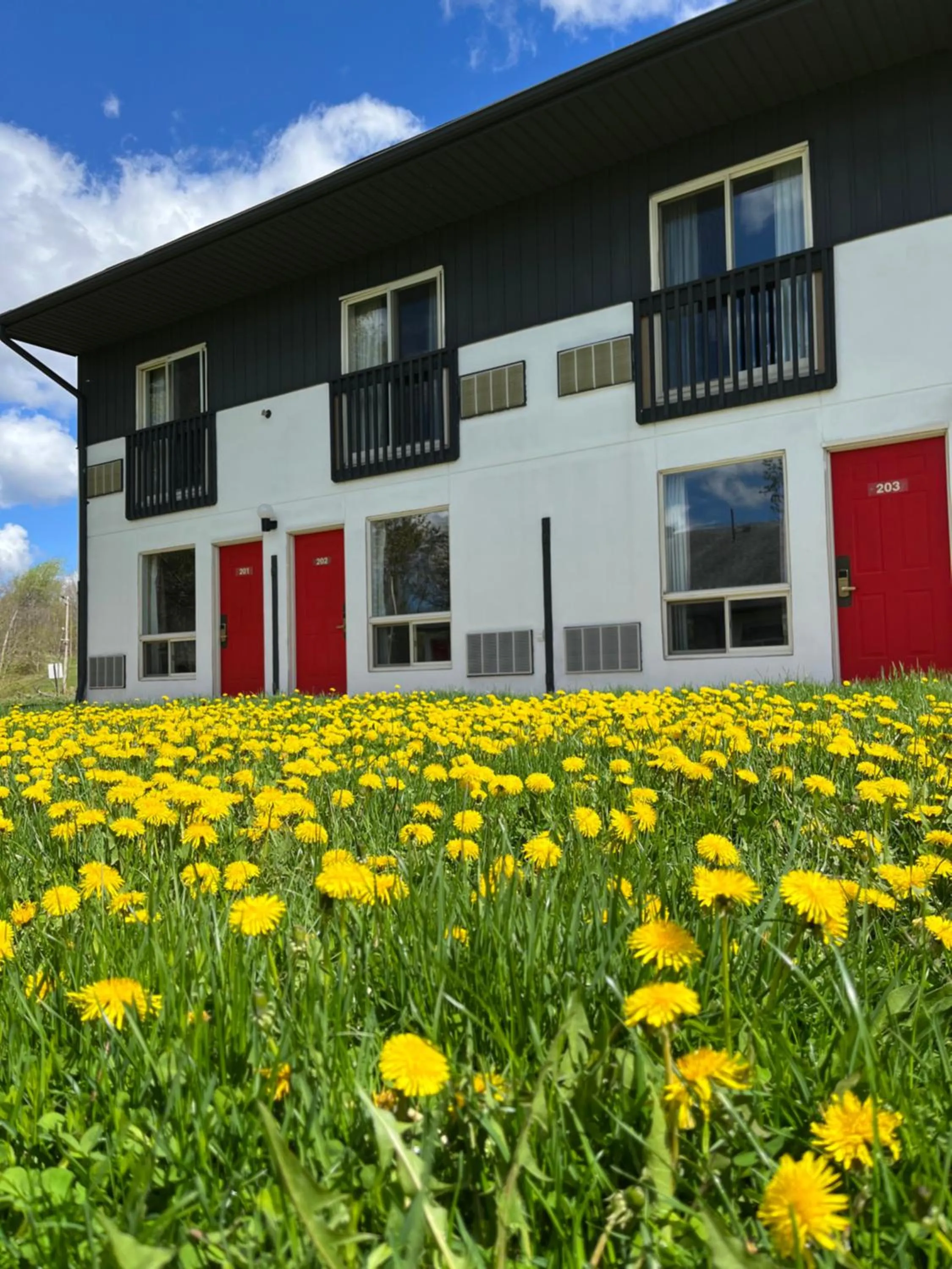 Property building in Jolly Roger Inn & Resort