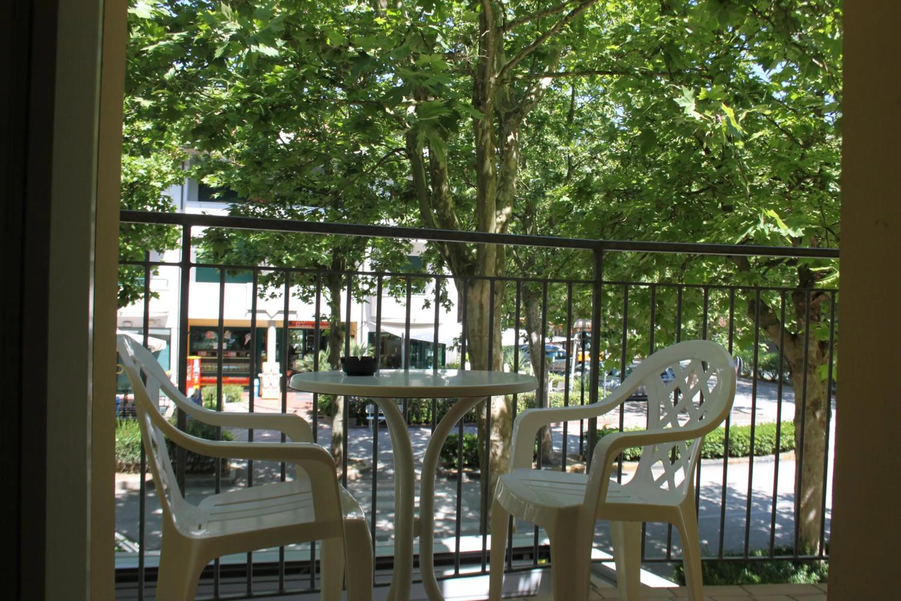 Balcony/Terrace in Hotel Cristoforo Colombo