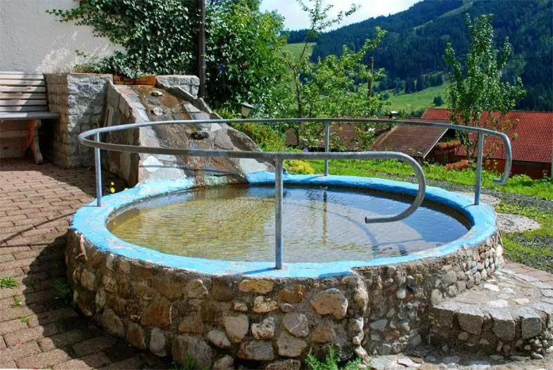 Swimming pool in Ferienhof Ammann
