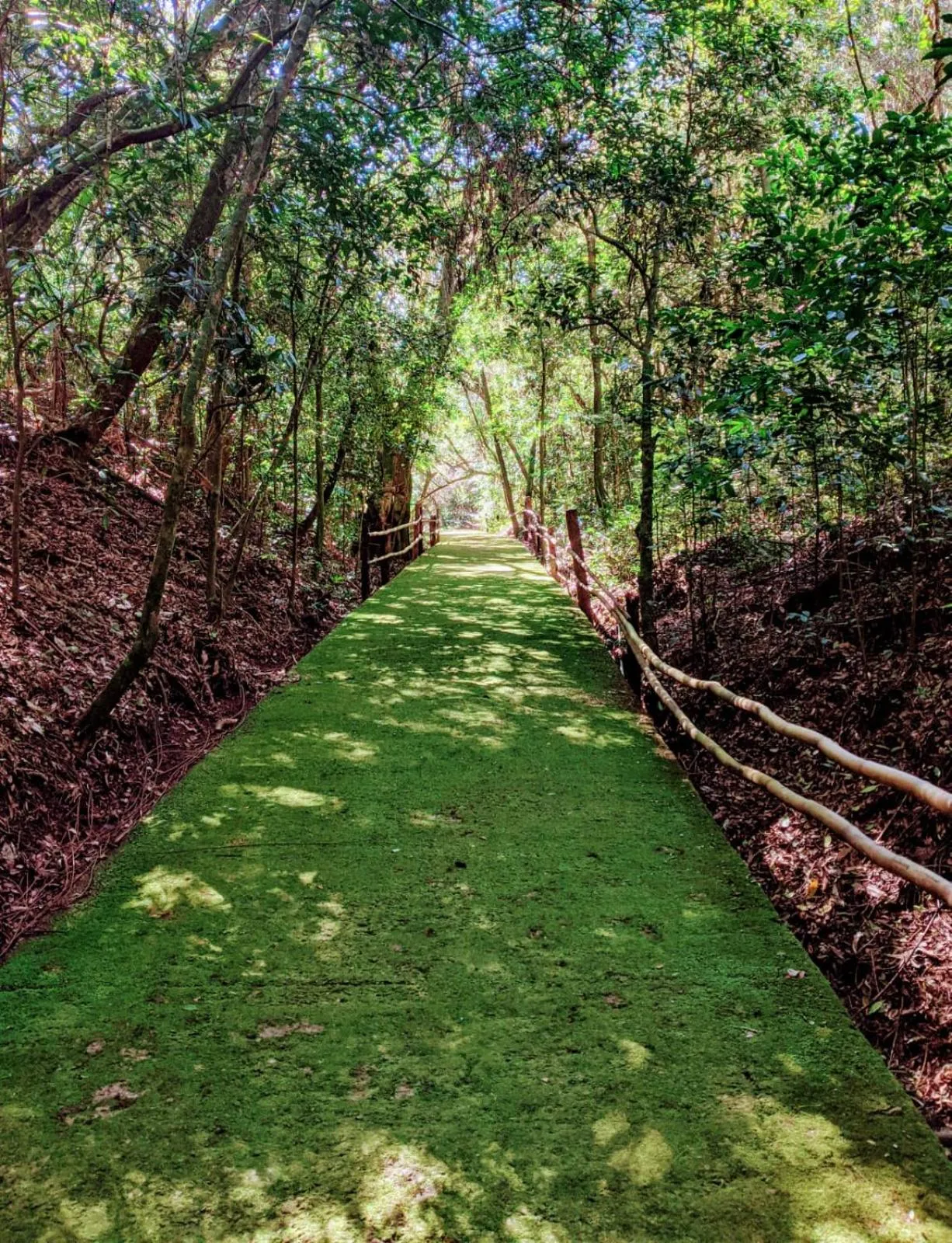 Natural landscape in Vila Ventura Ecoresort