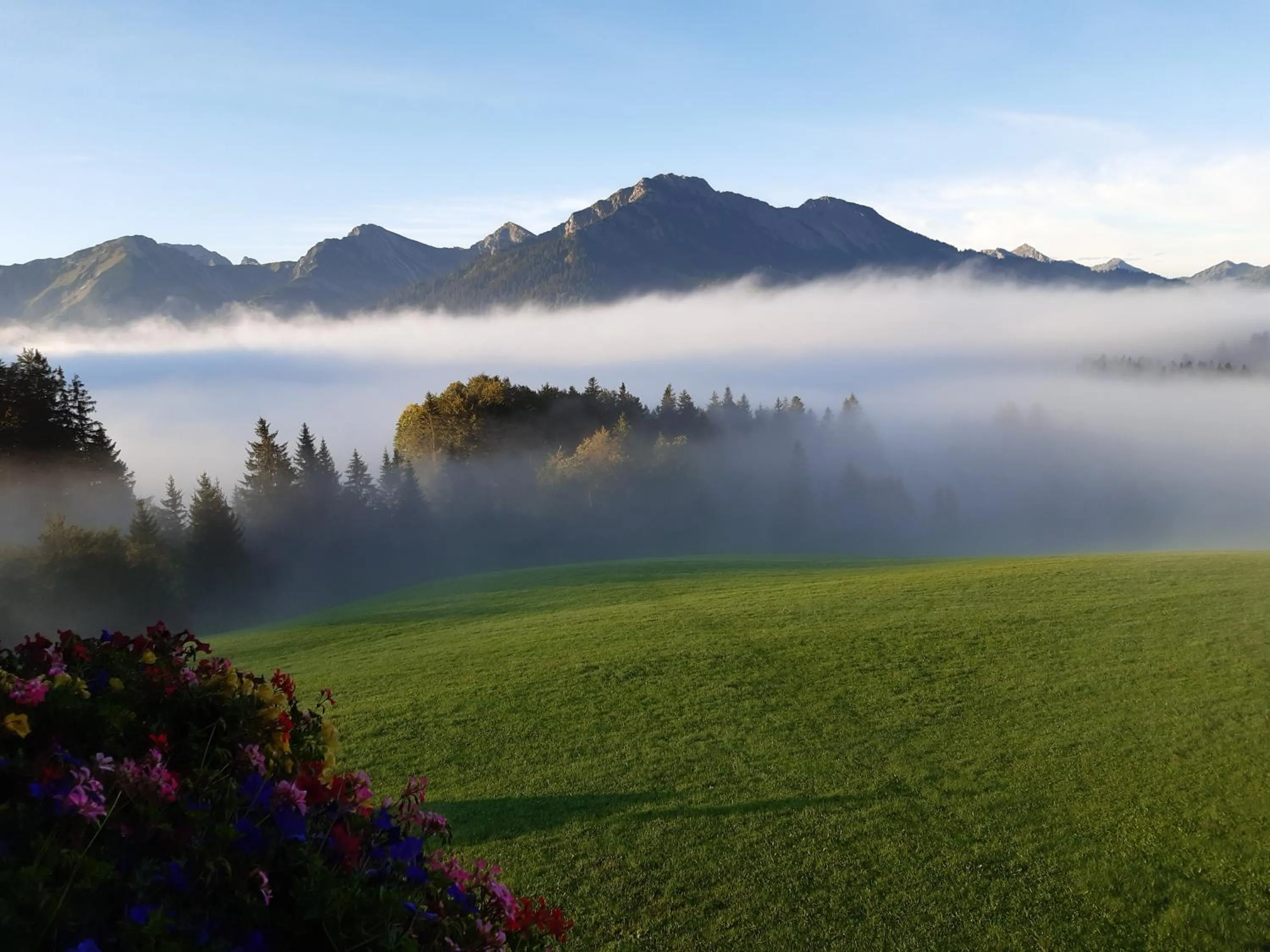 Natural landscape in Haus Edelweiß