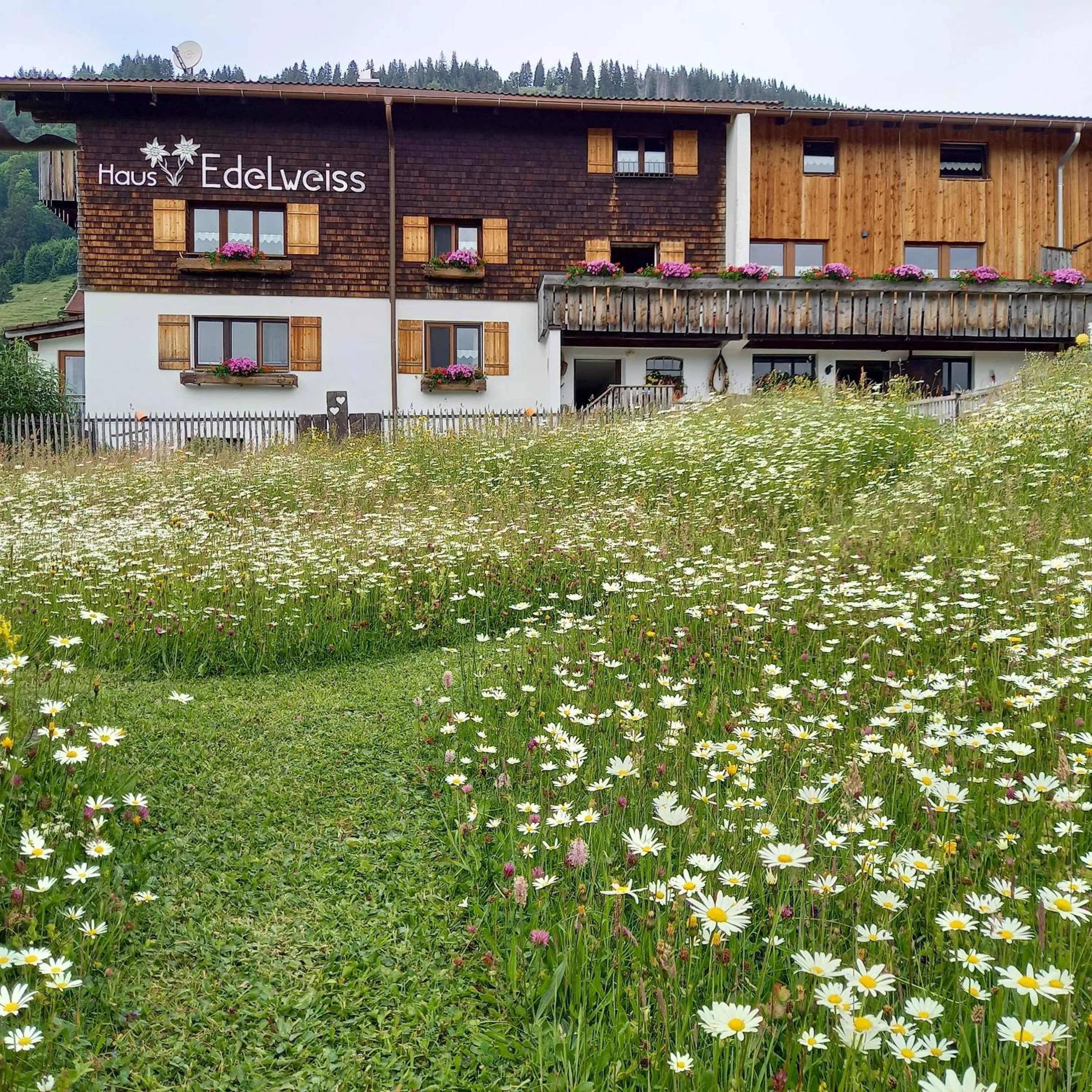 Property building in Haus Edelweiß