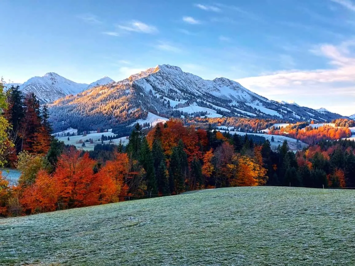Winter in Haus Edelweiß