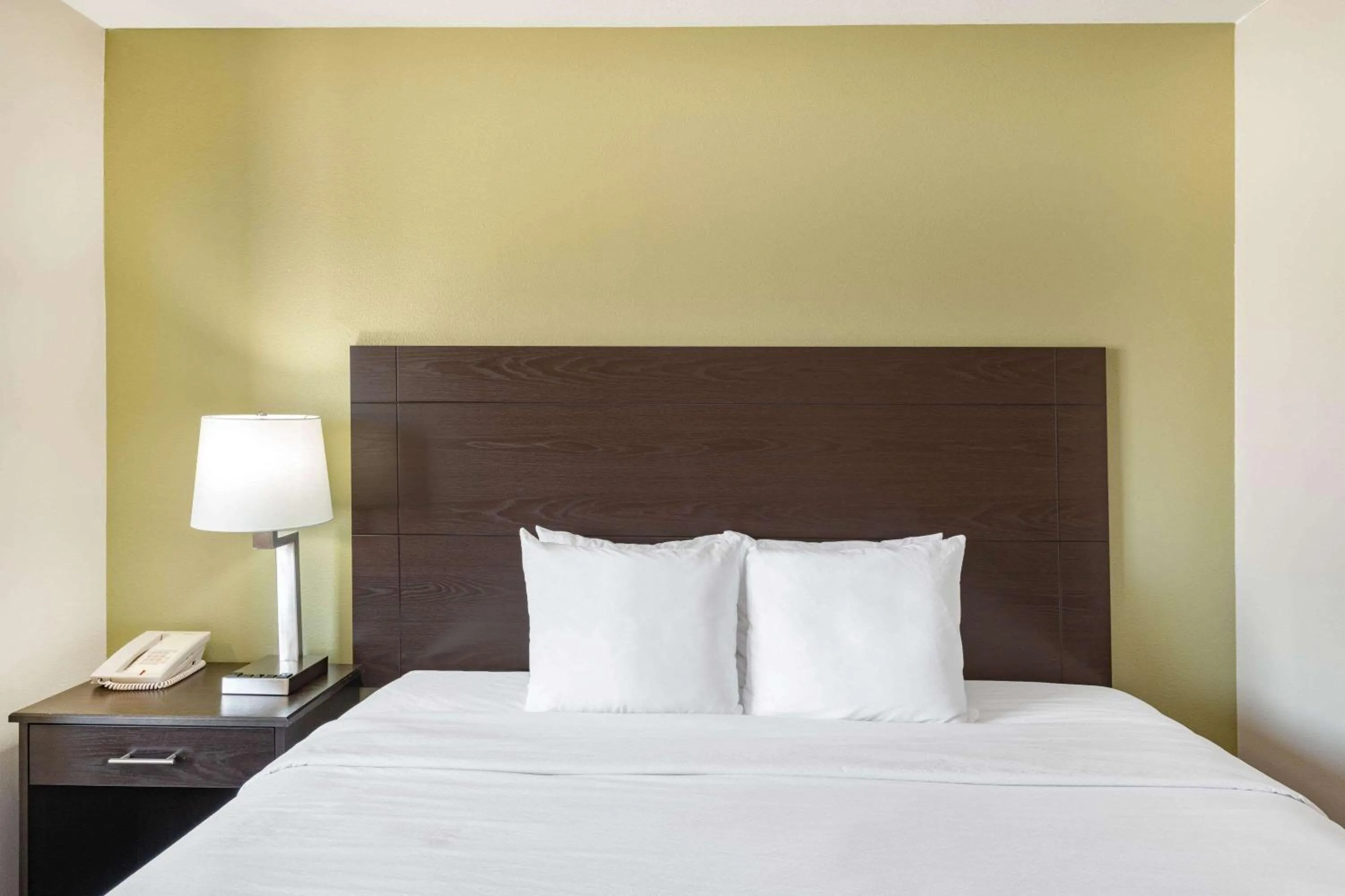 Photo of the whole room, Bed in Baymont by Wyndham Farmington