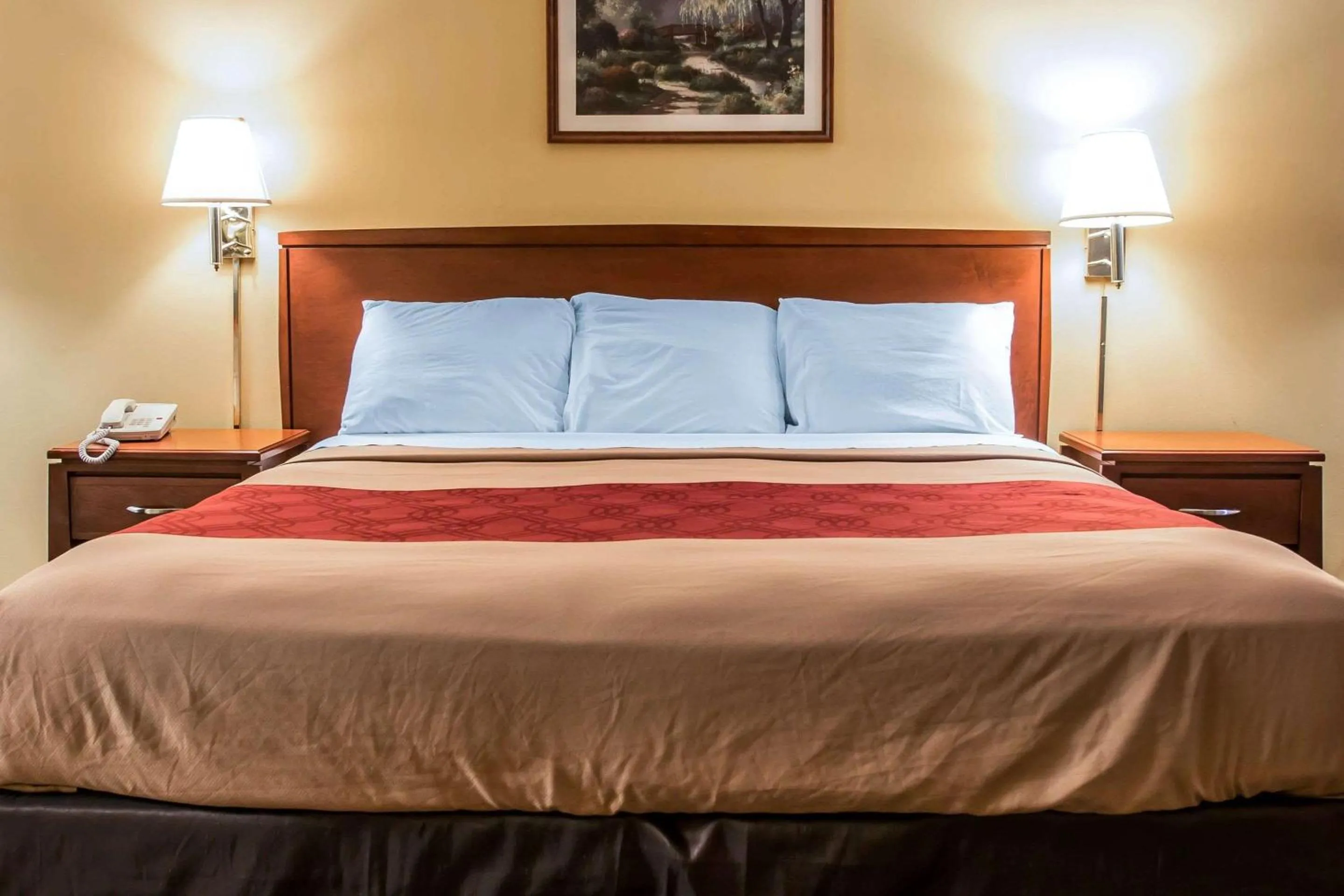 Bedroom, Bed in Econo Lodge Paw Paw