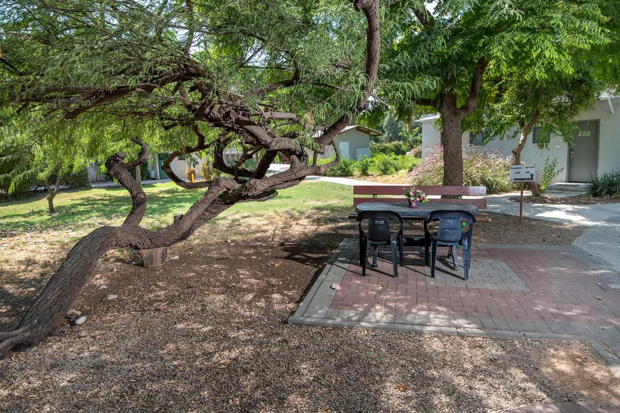 Garden in Degania Bet Kibbutz Country Lodging