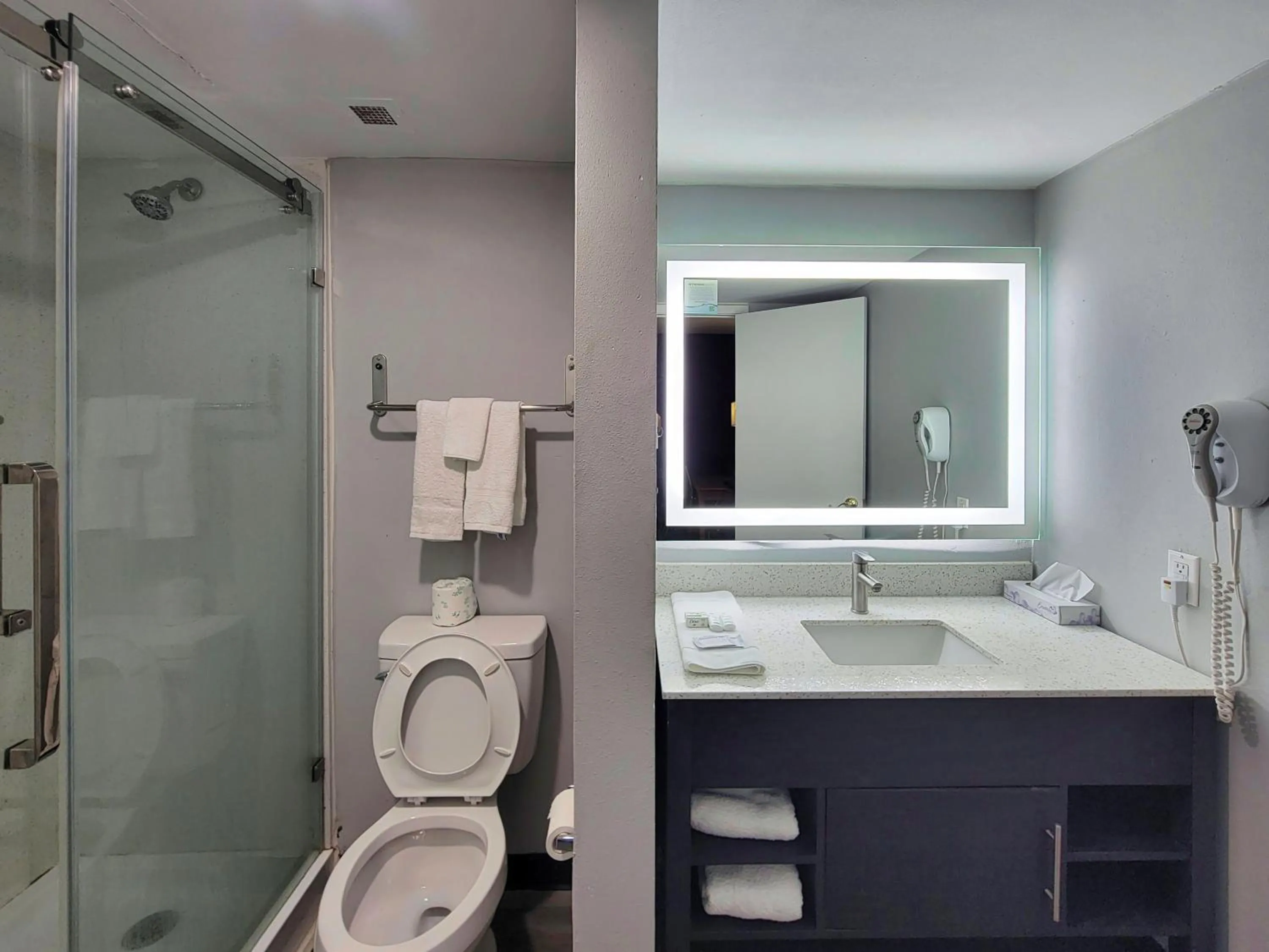 Shower in La Quinta Inn by Wyndham Amarillo West Medical Center