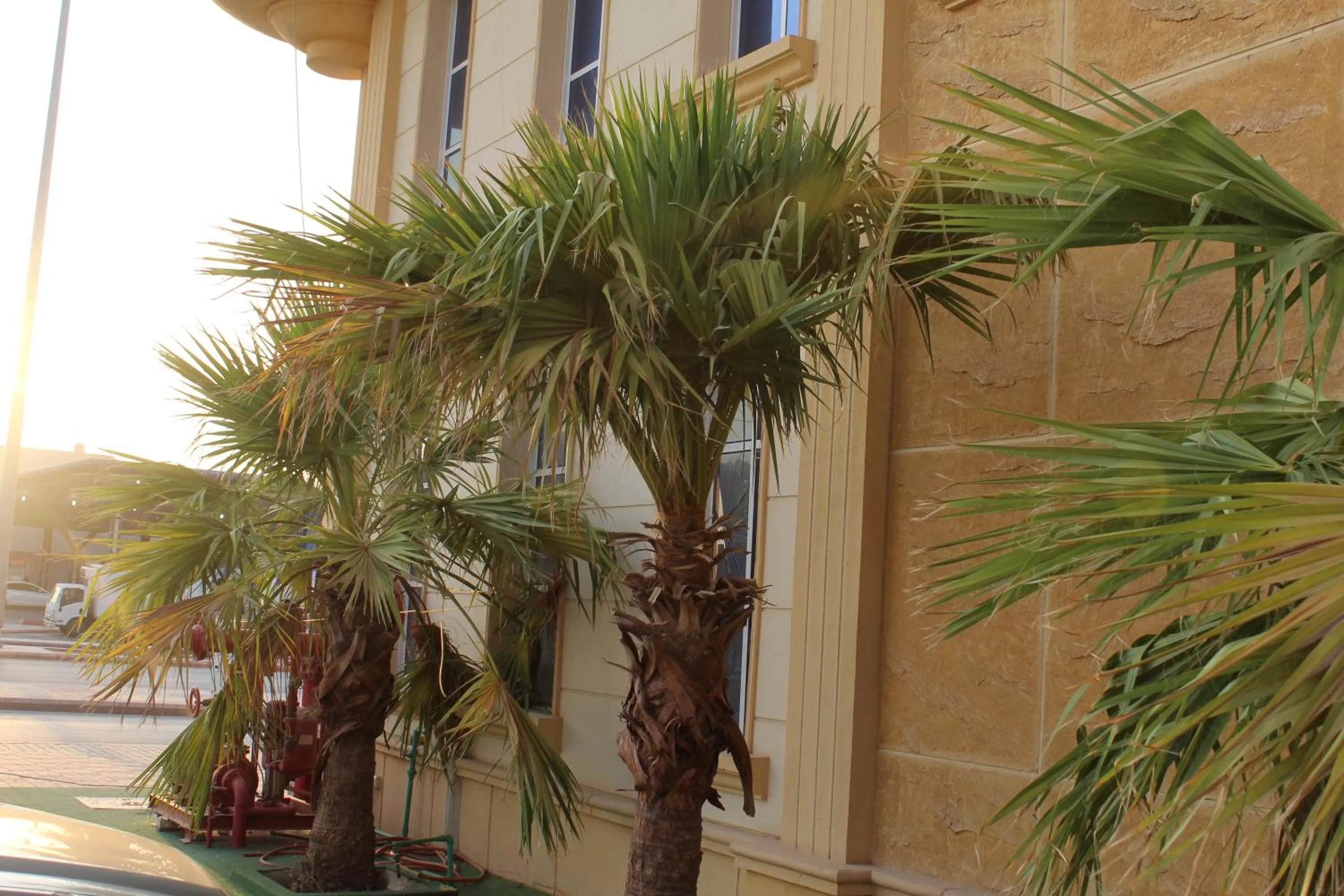 Property building in هذه ليلتي فرع اليرموك- This Lailaty Al Yarmouk Branch