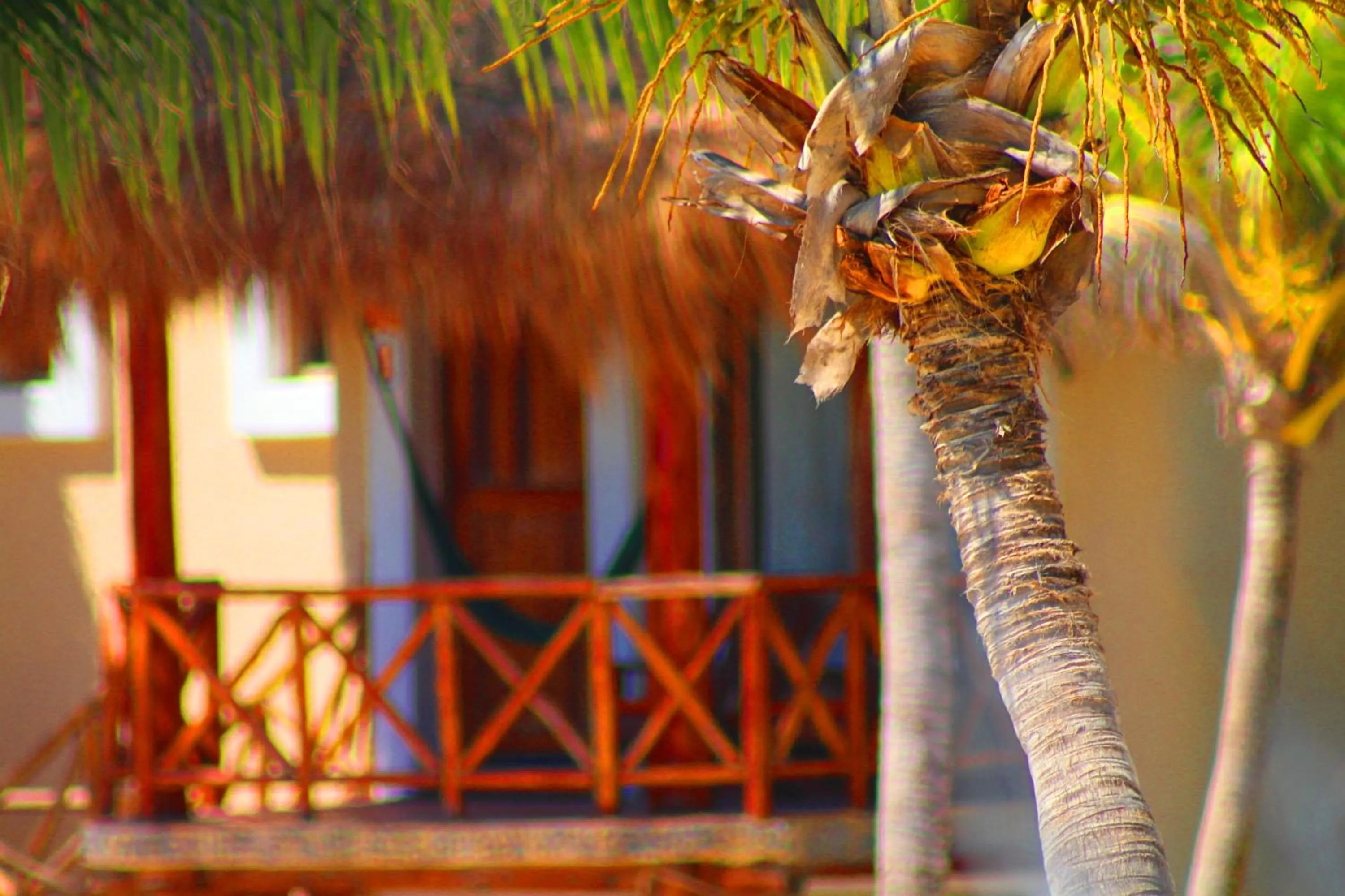 Property building in Hotel Piedra Escondida