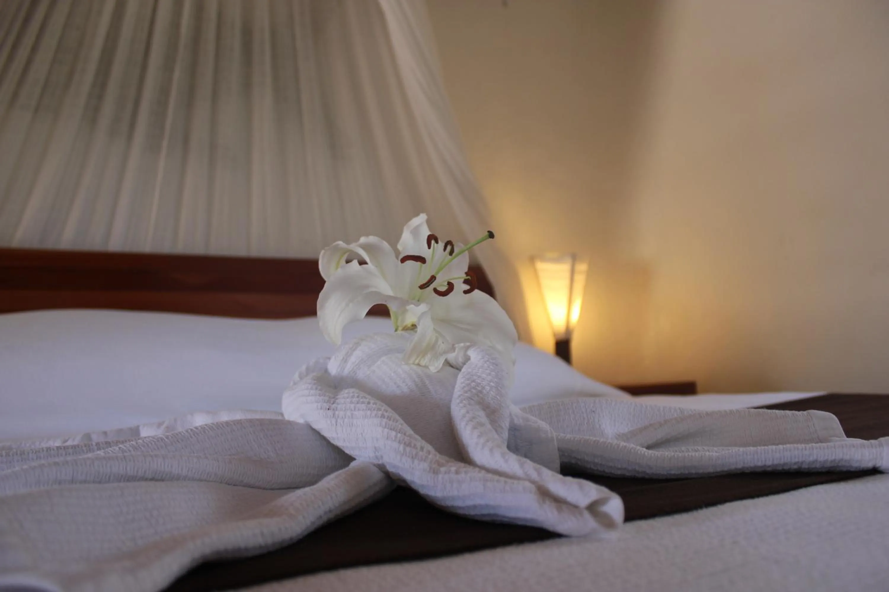 Decorative detail, Bed in Hotel Piedra Escondida