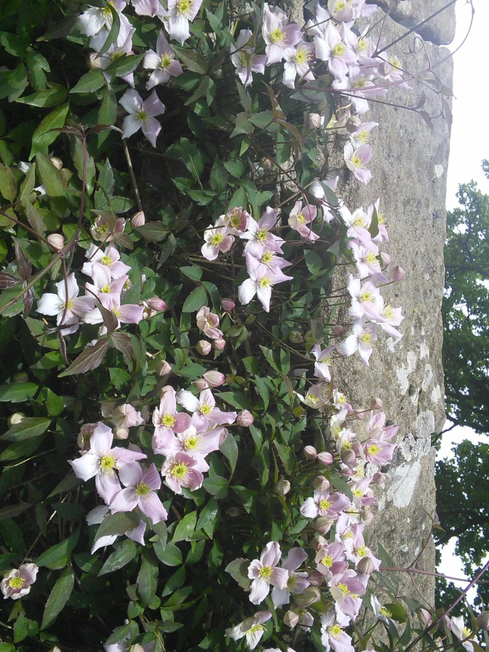 The Barn, Bellingham