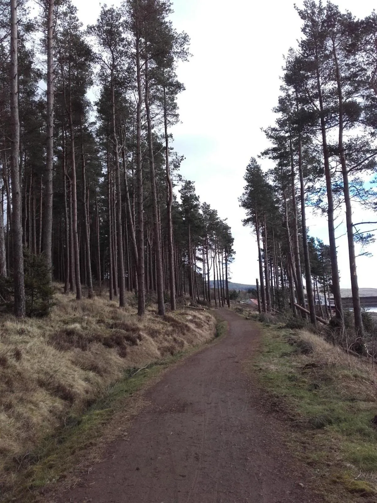 The Barn, Bellingham