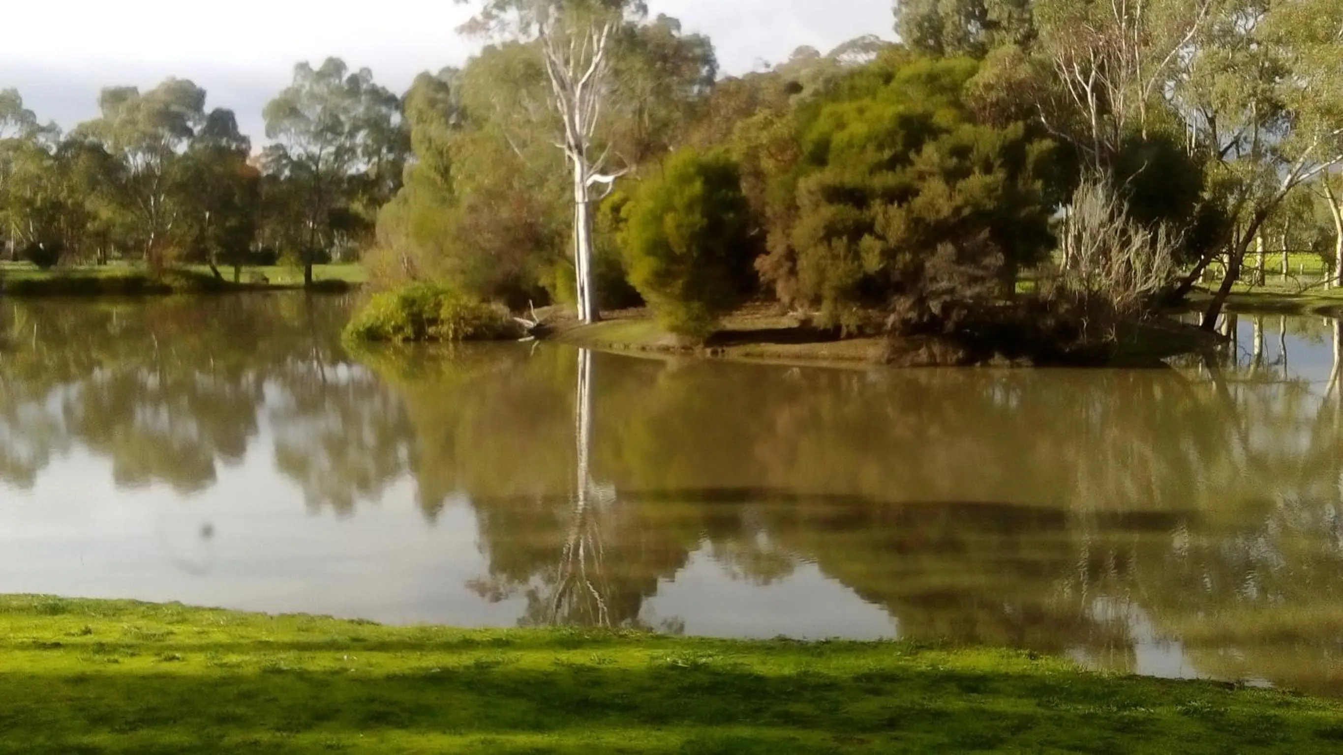 Lake view in Magdala Motor Lodge & Lakeside Restaurant
