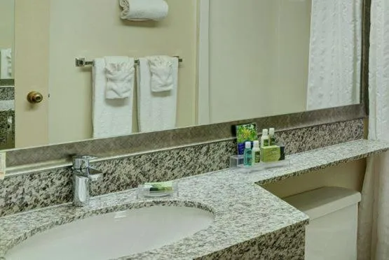 Bathroom in Thompson's Best Value Inn & Suites