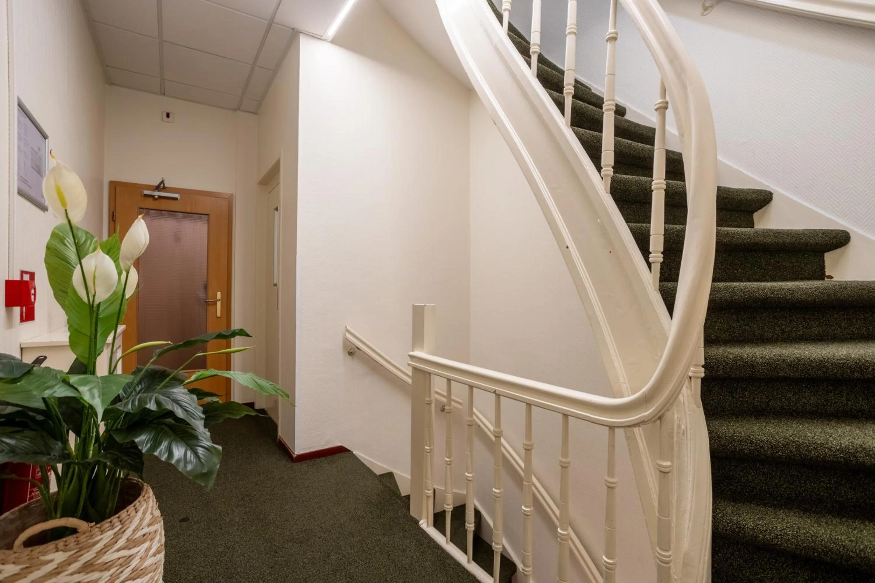 Property building in Hotel Fita