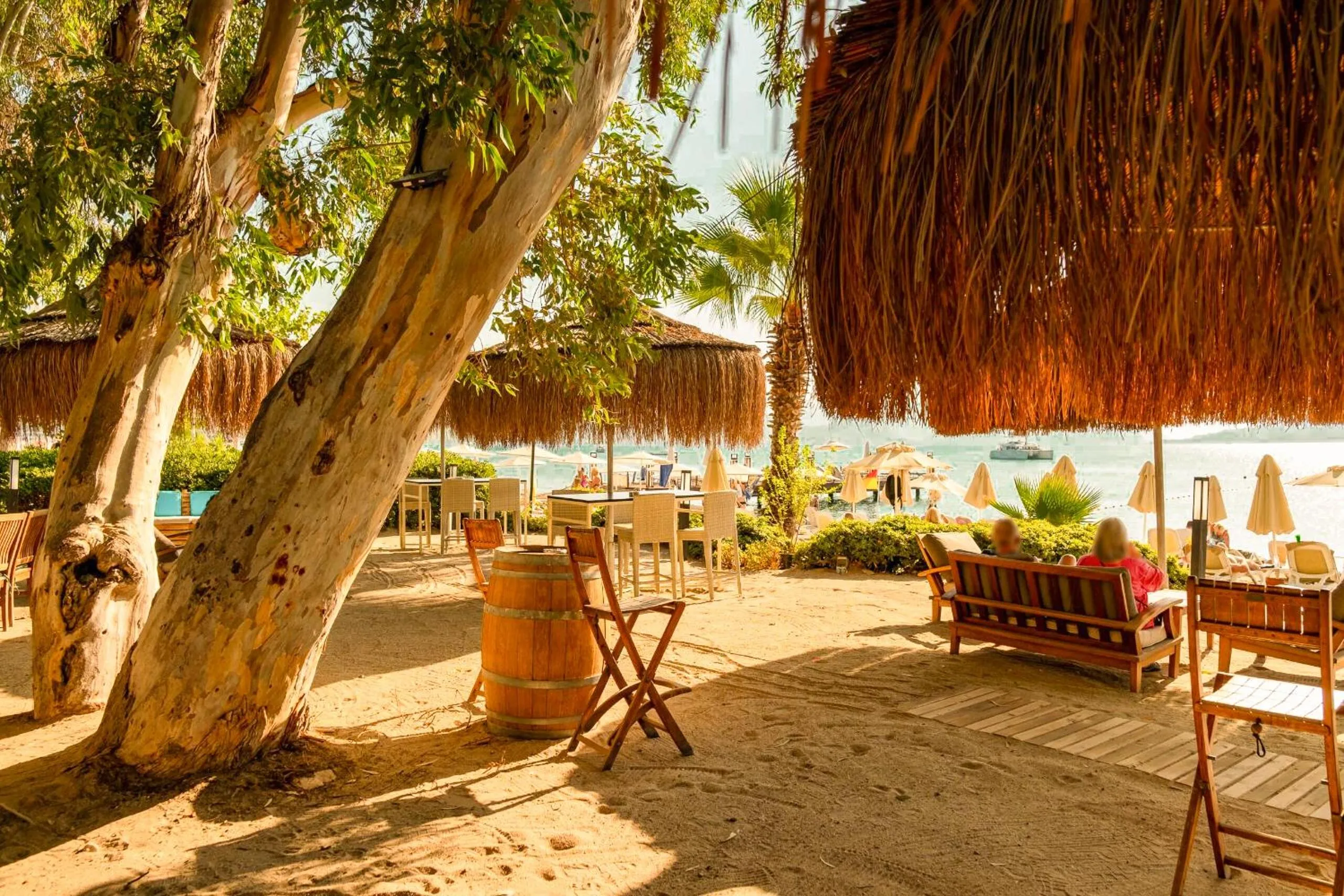 Day in TUI BLUE Grand Azur