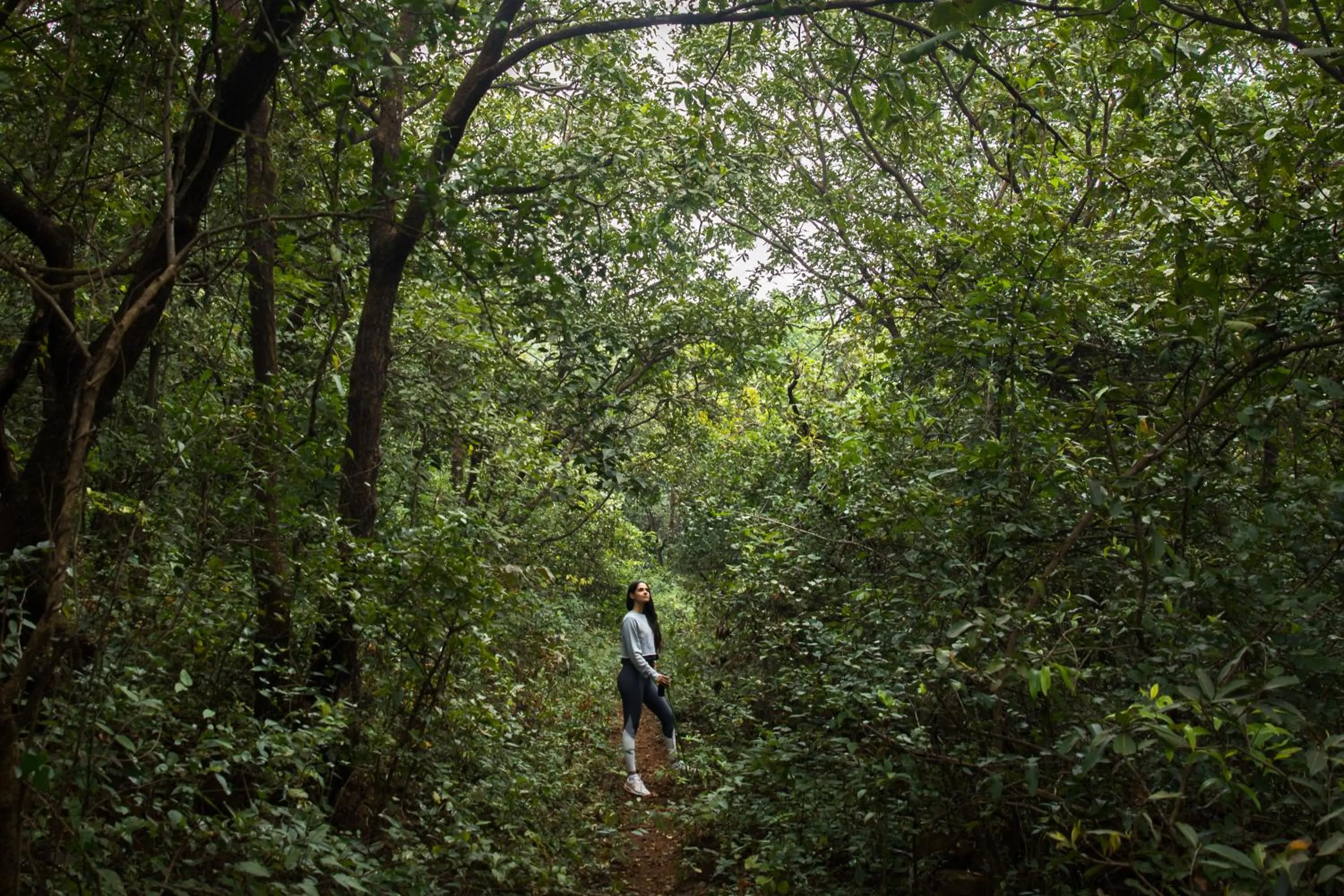 Natural landscape in Dharana at Shillim All Inclusive Luxury Wellness Retreat
