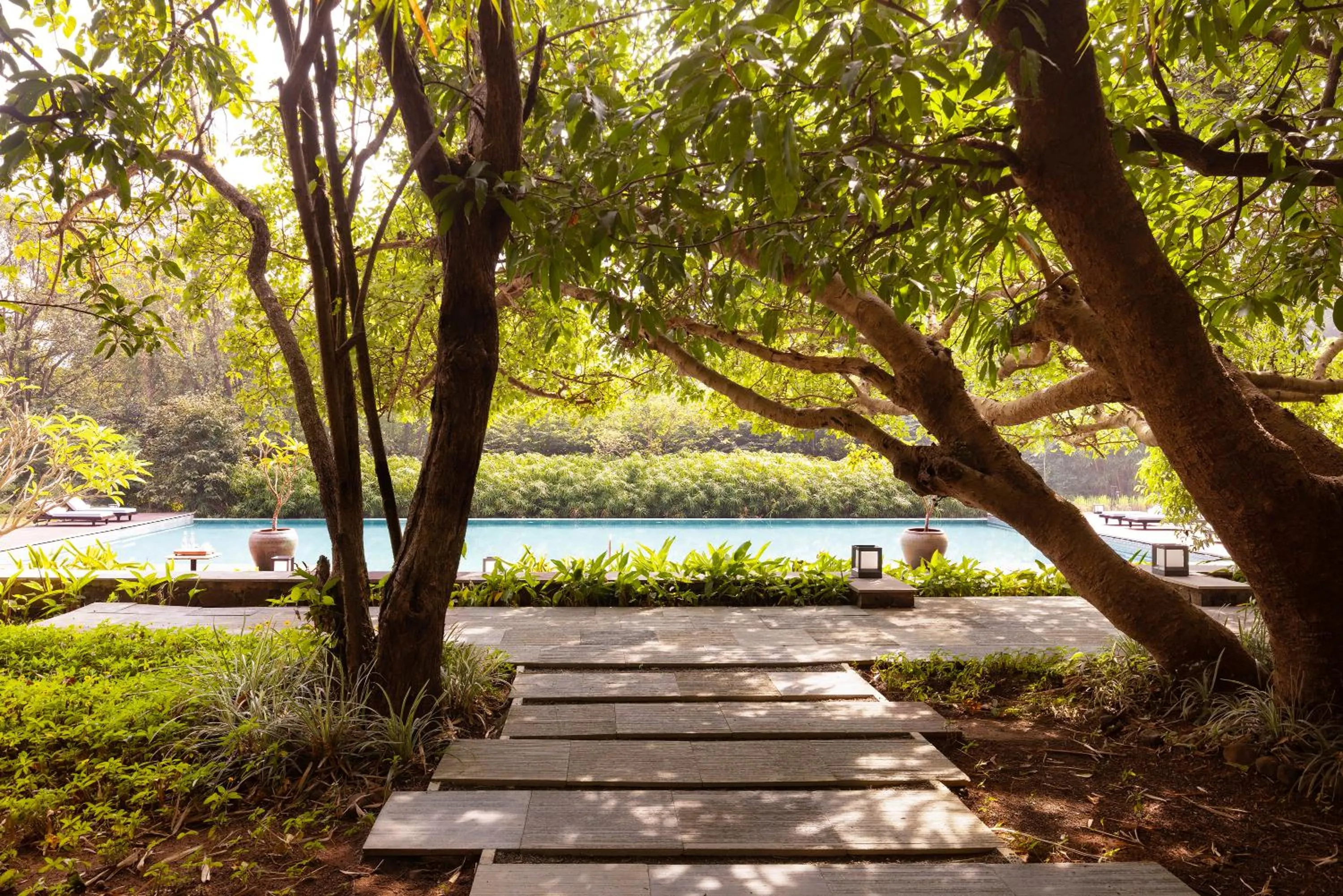 Pool view in Dharana at Shillim All Inclusive Luxury Wellness Retreat