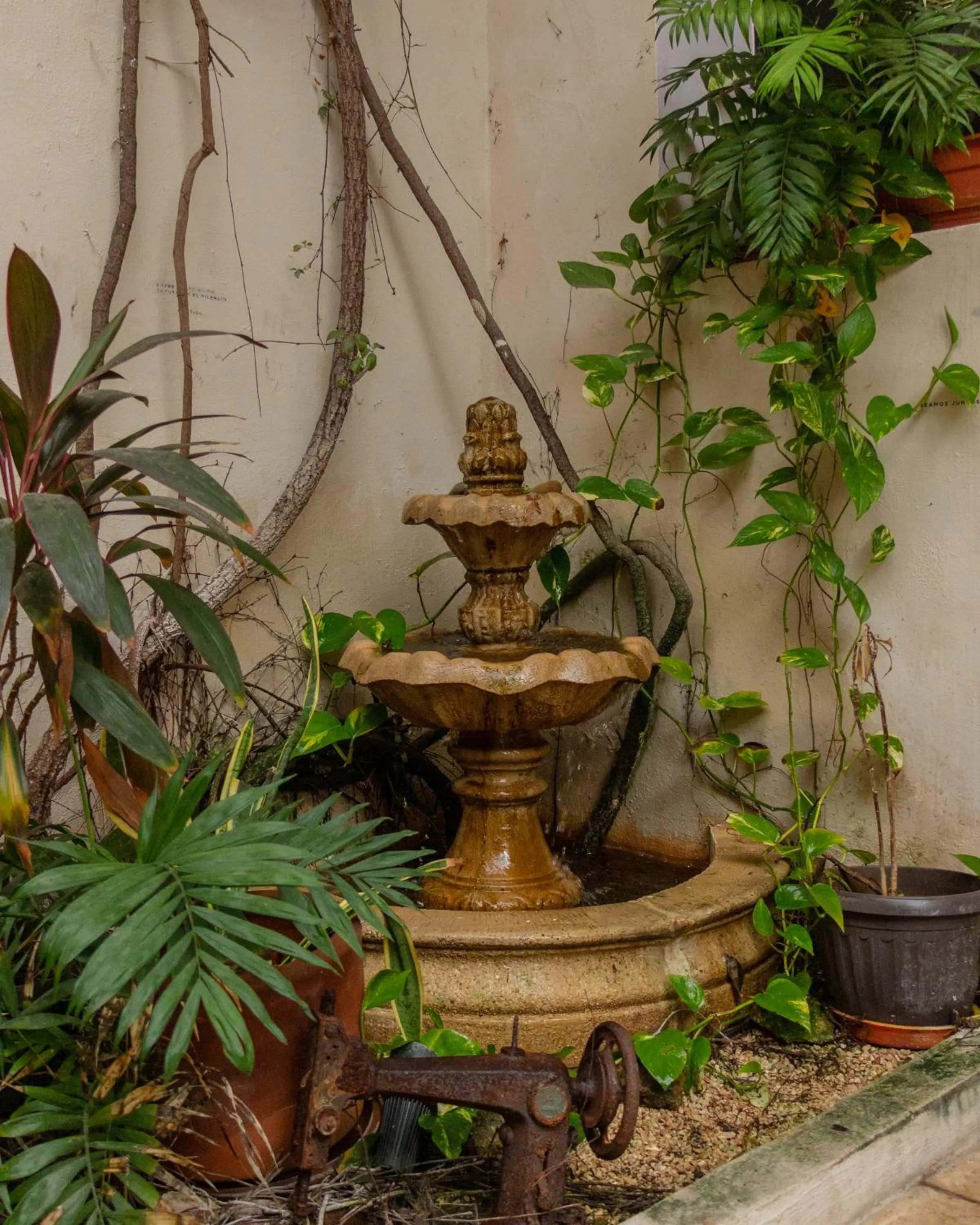 Patio in Kuka y Naranjo