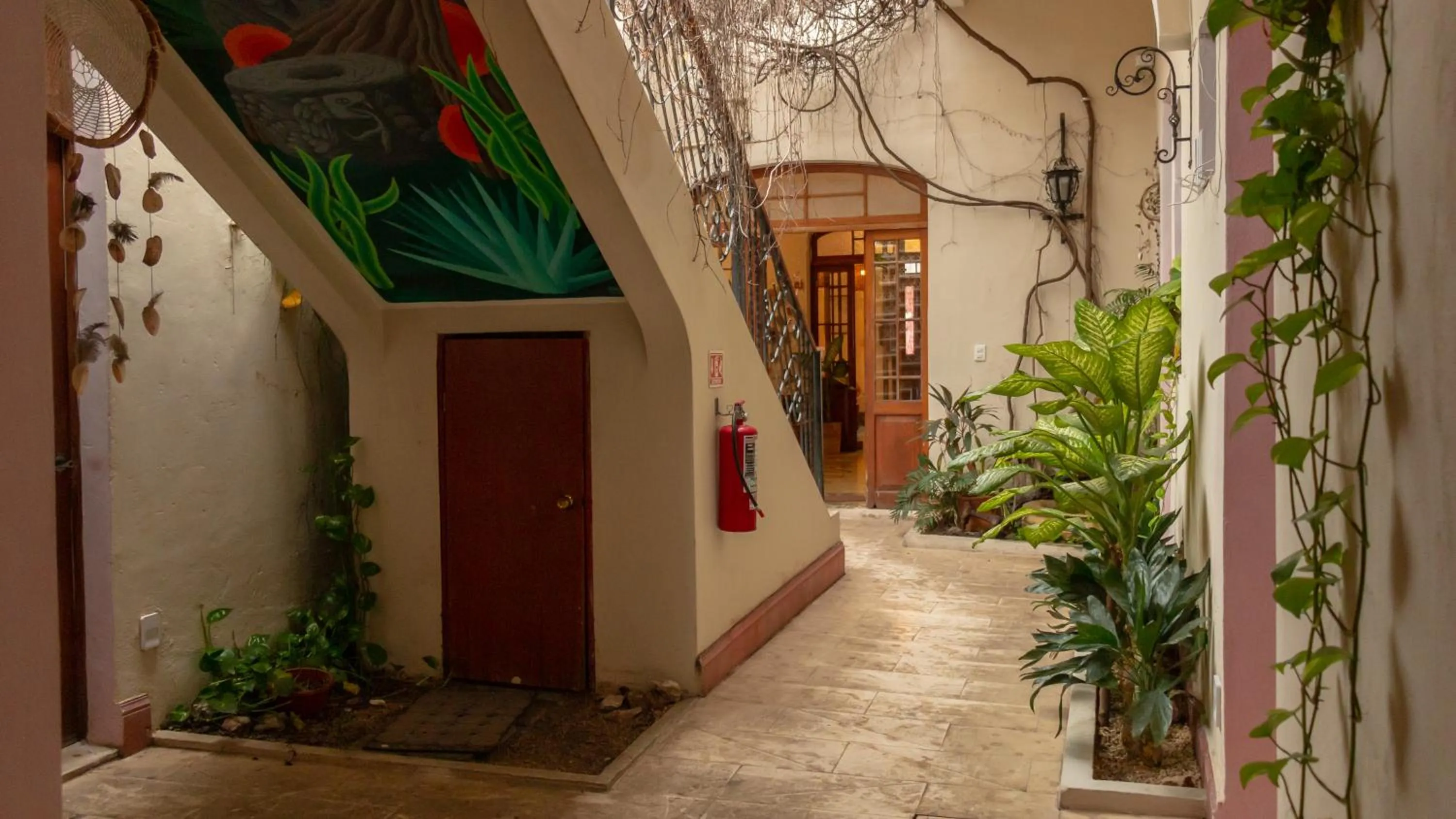 Patio in Kuka y Naranjo