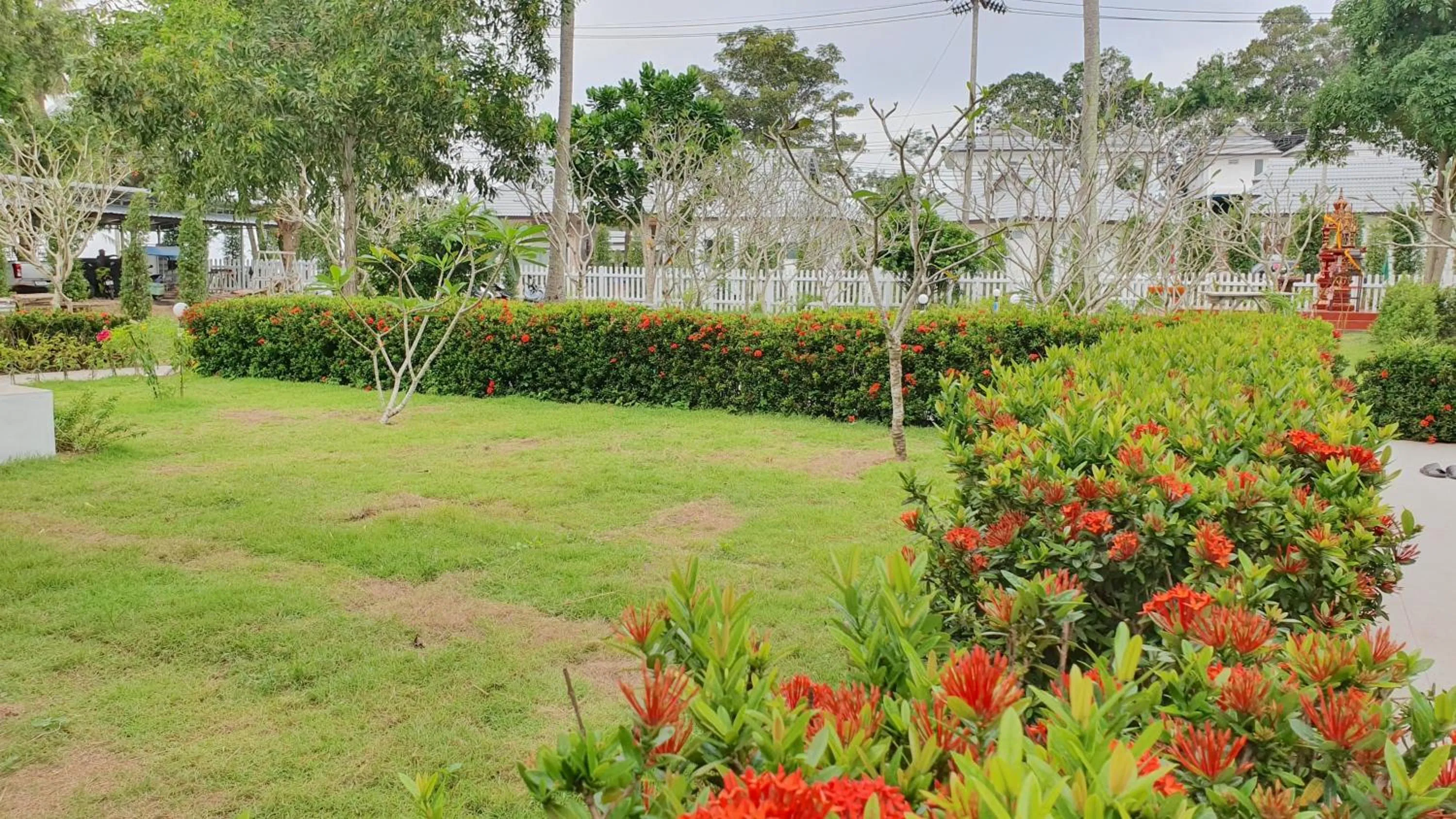 Garden in Horizon Beach Resort Koh Jum
