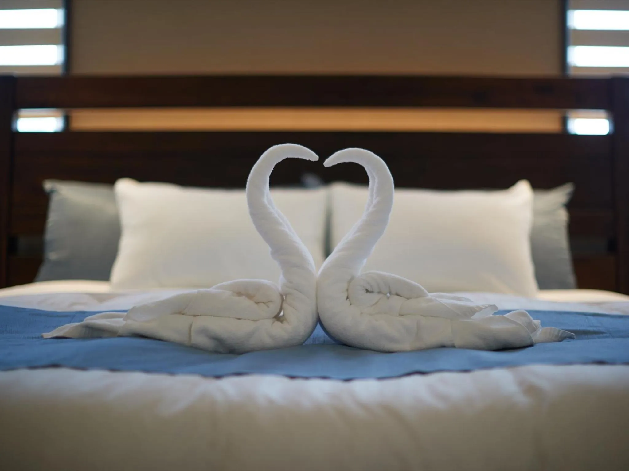 Photo of the whole room, Bed in Condominium NOOSA